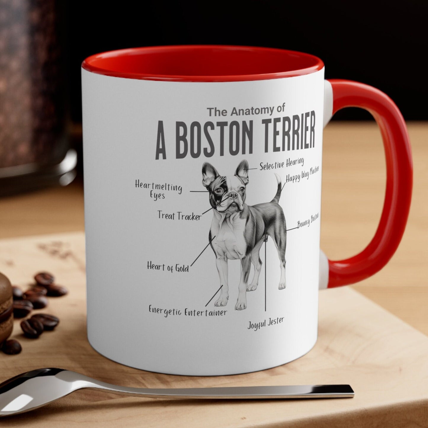Boston Anatomy Mug
