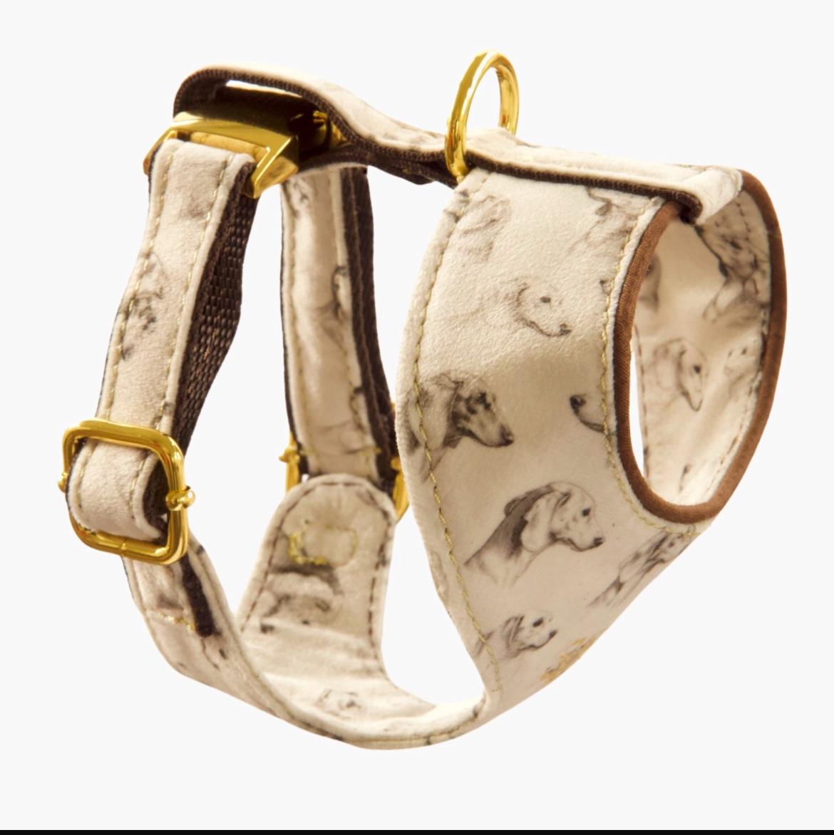 Luxurious Dachshund Velvet Dog Harness