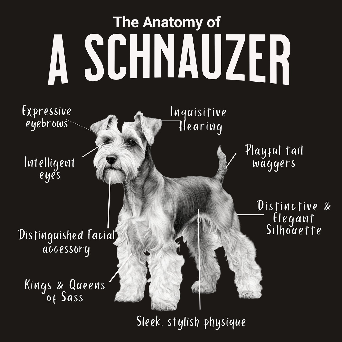 Schnauzer Anatomy Mug Black