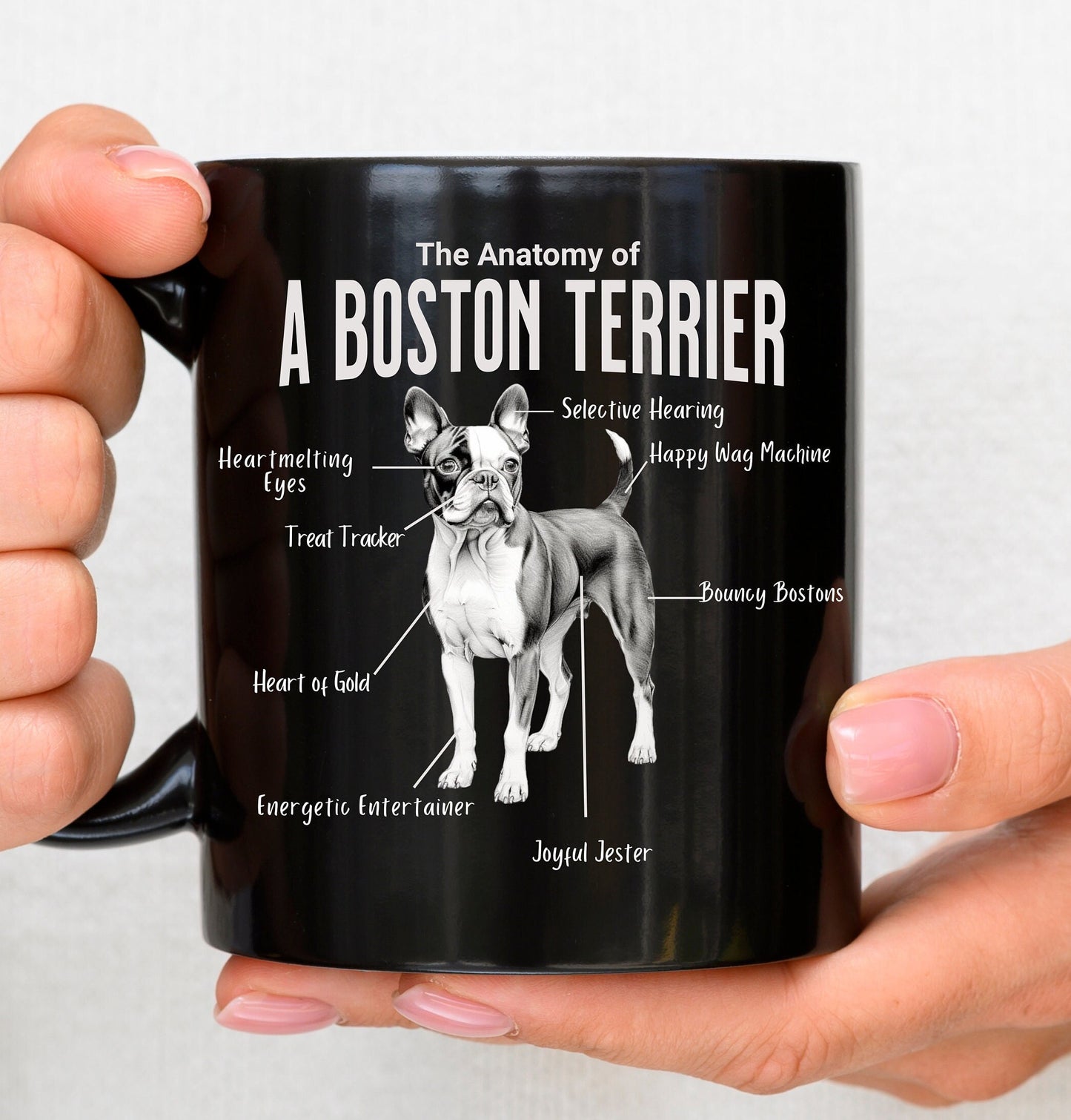 Boston Anatomy Mug Black