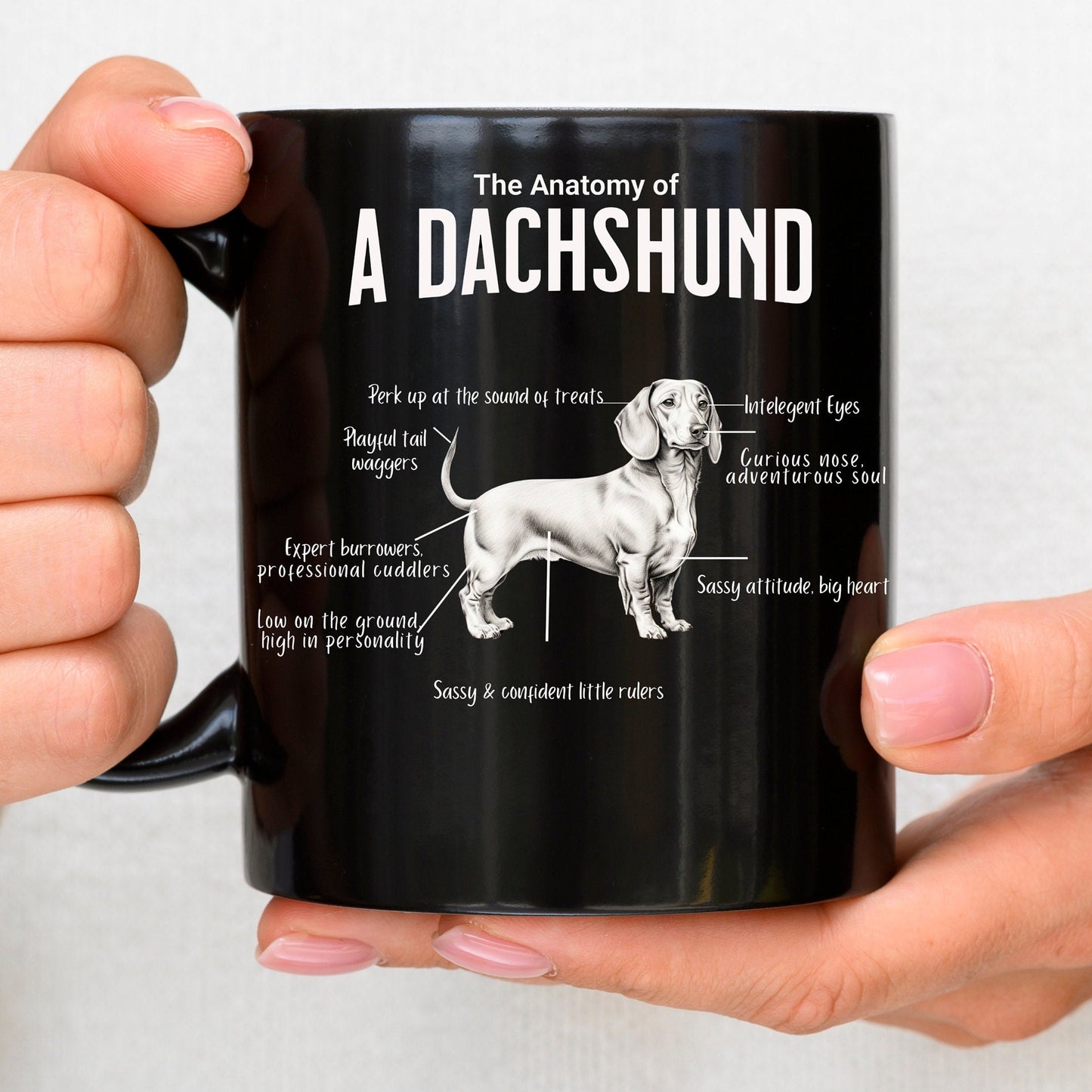 Dachshund Anatomy Mug Black