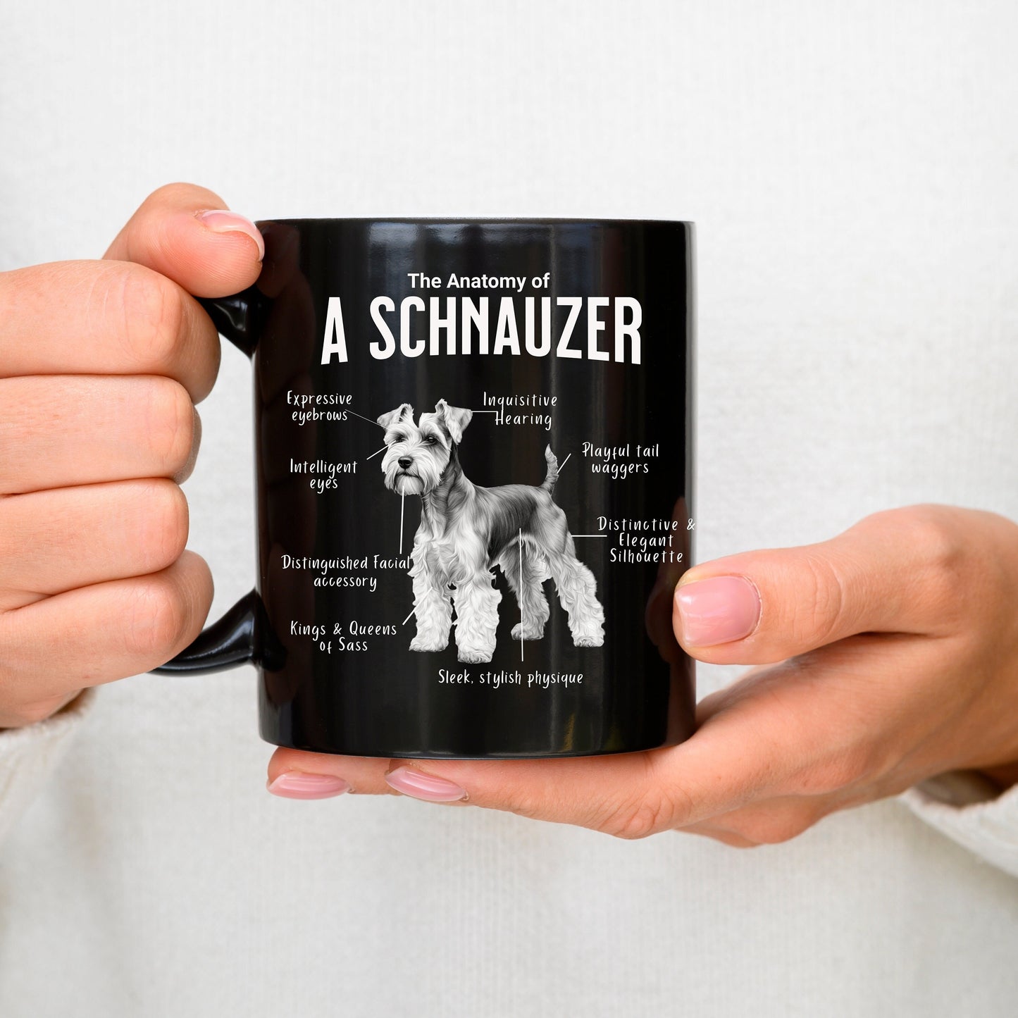 Schnauzer Anatomy Mug Black