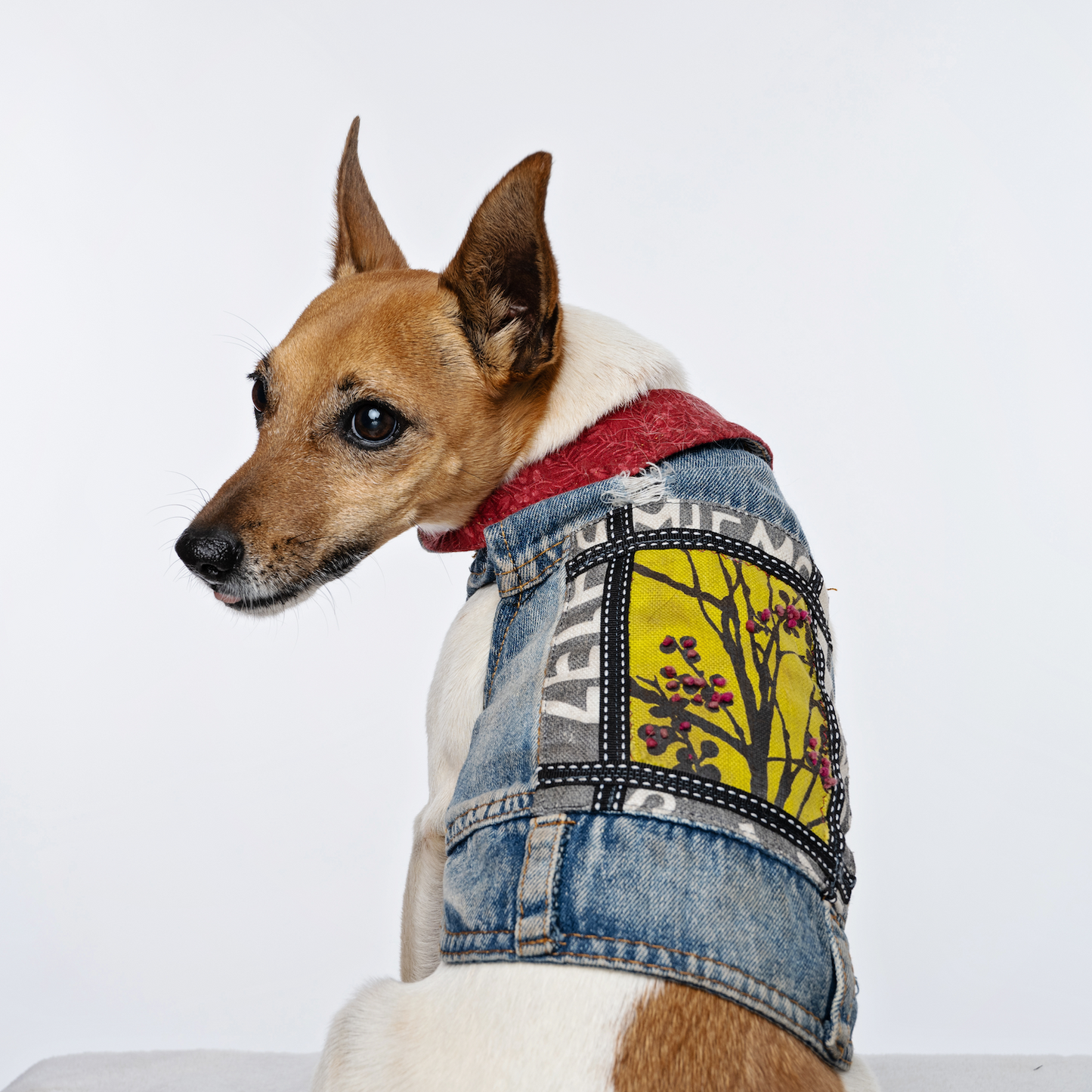 Autumn Forest Denim Jacket