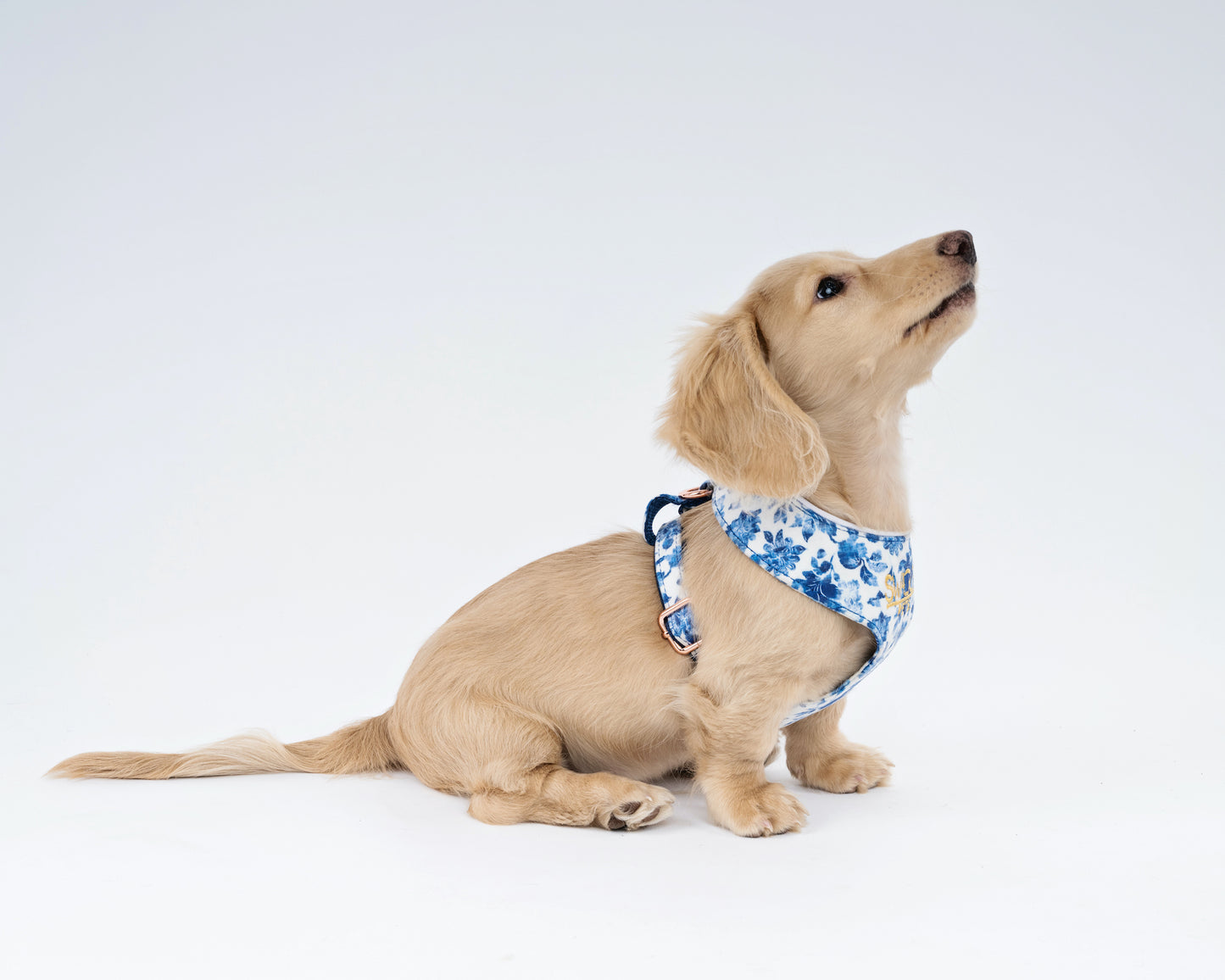Luxury Velvet Dog Harness – Delft Design with Rose Gold