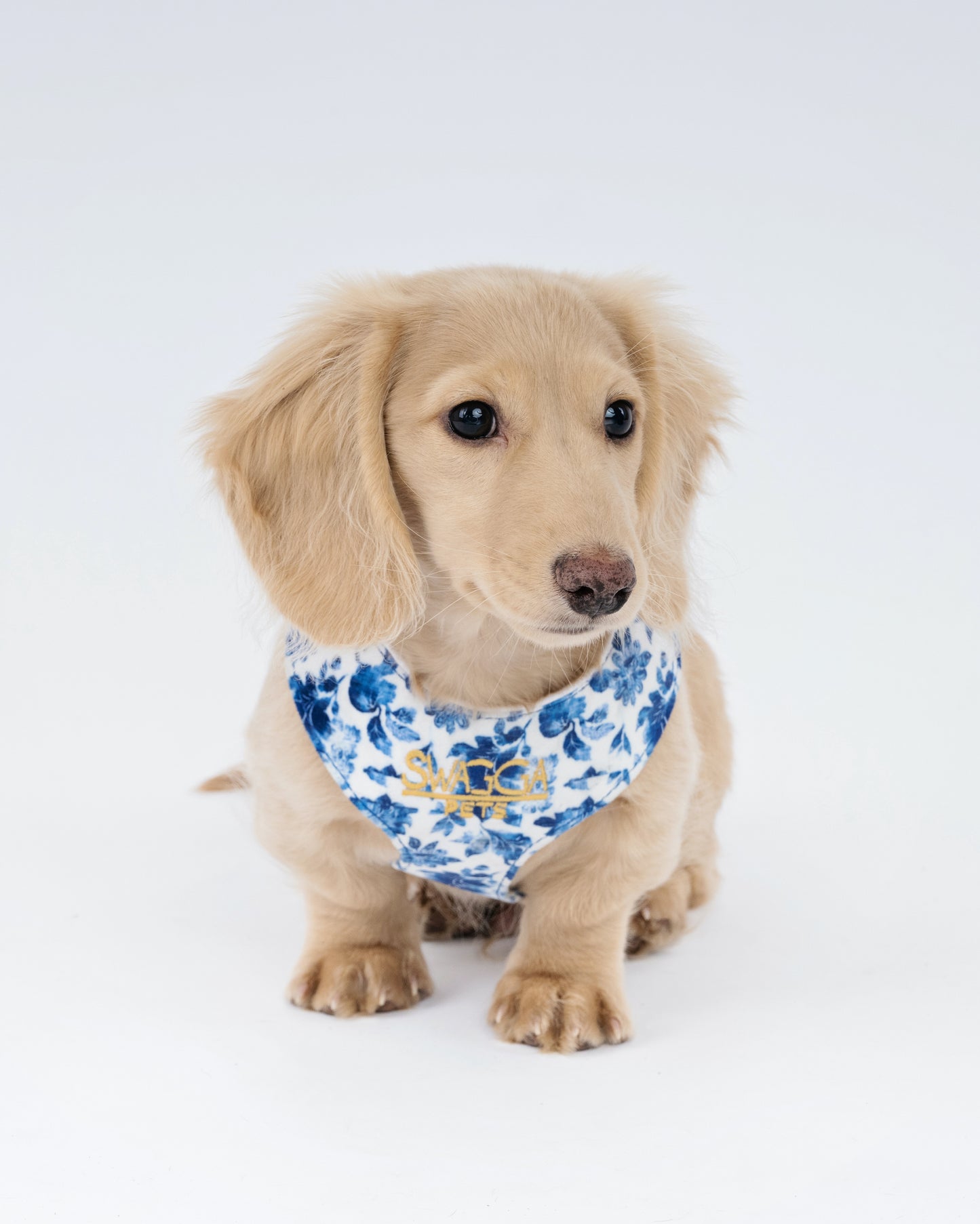 Luxury Velvet Dog Harness – Delft Design with Rose Gold