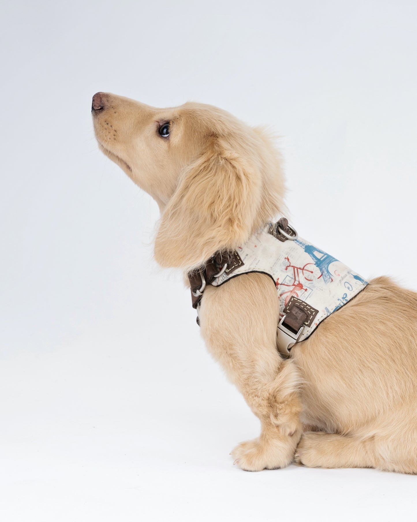 Paris Dog Harnes