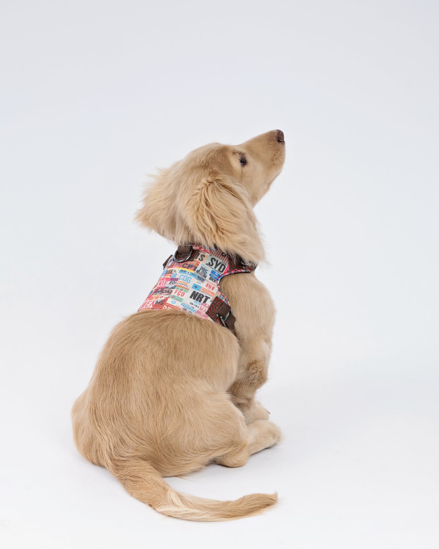 Luggage Tags Dog Harness