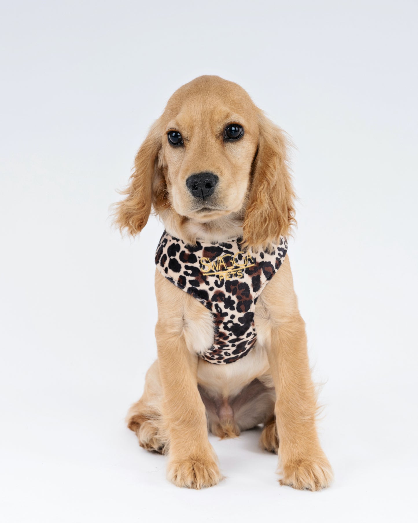 Luxurious leopard print velvet dog harness