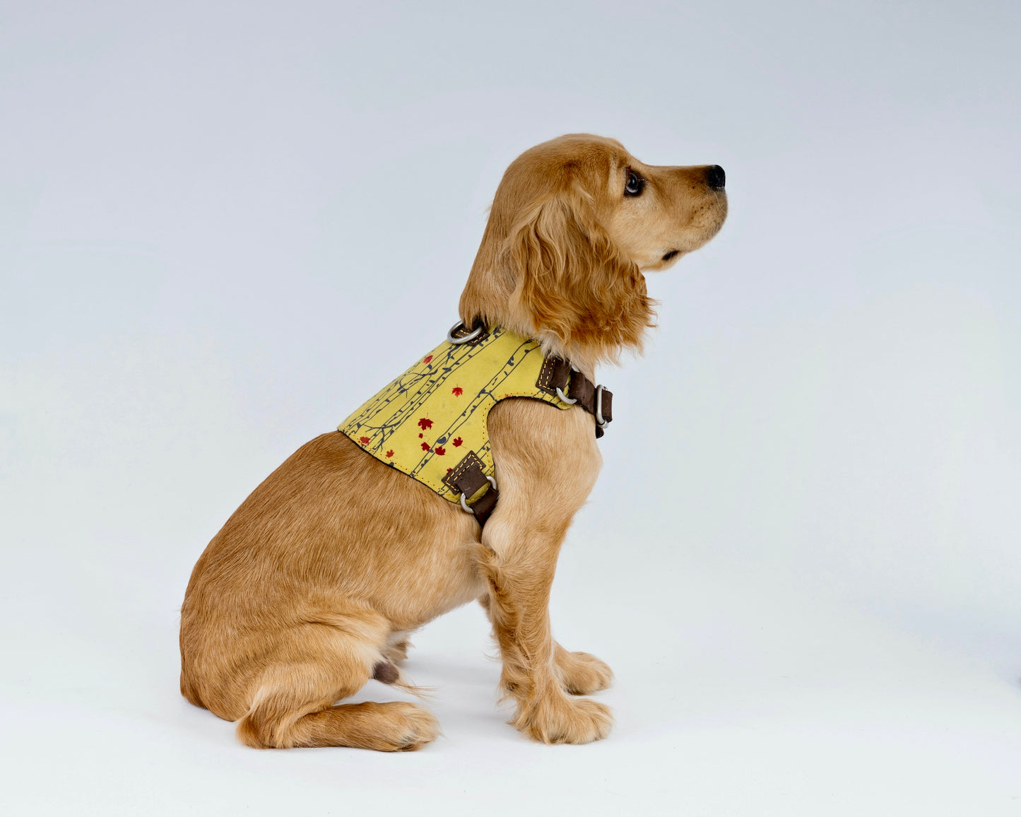 Autumn Forest Dog Harness