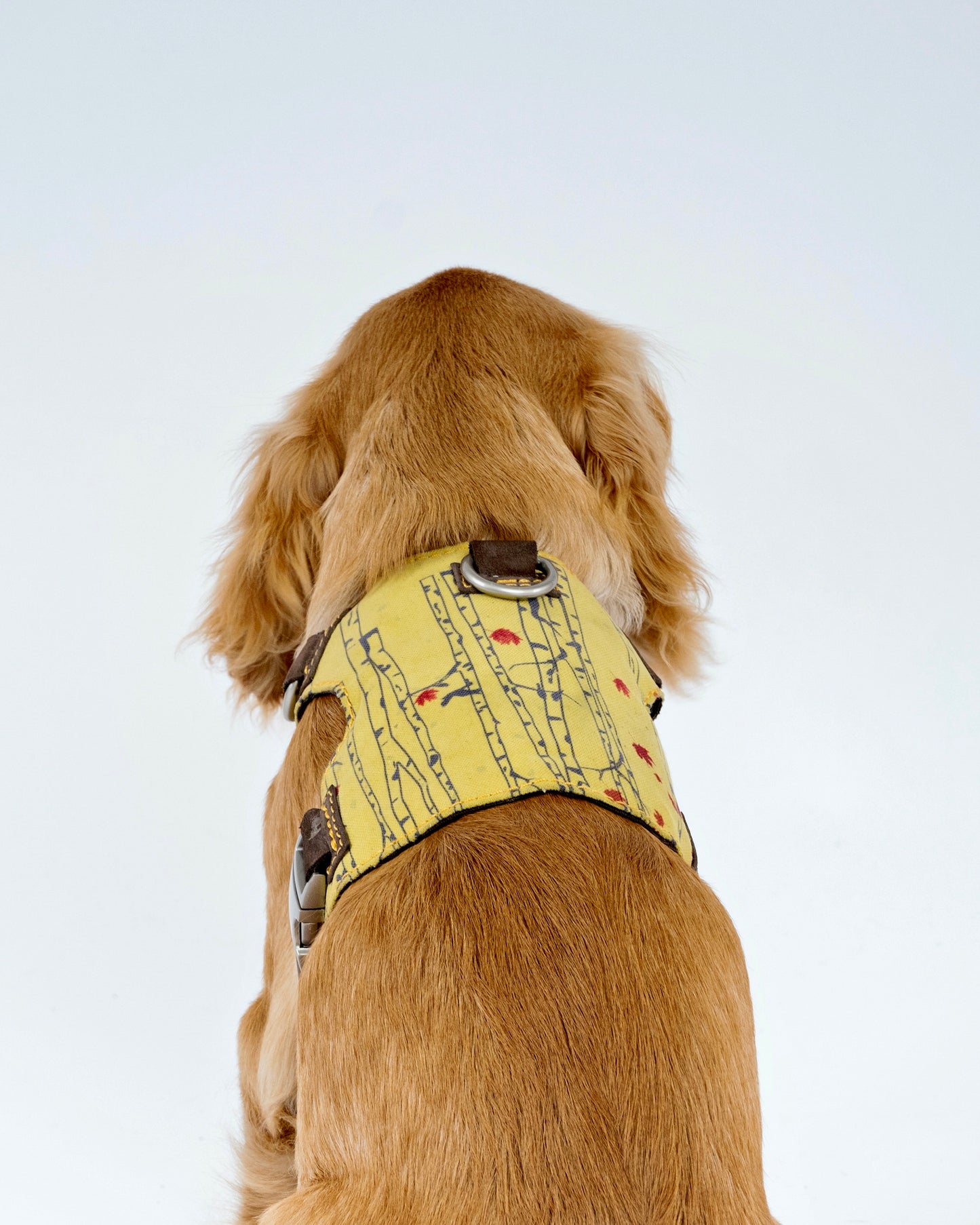 Autumn Forest Dog Harness