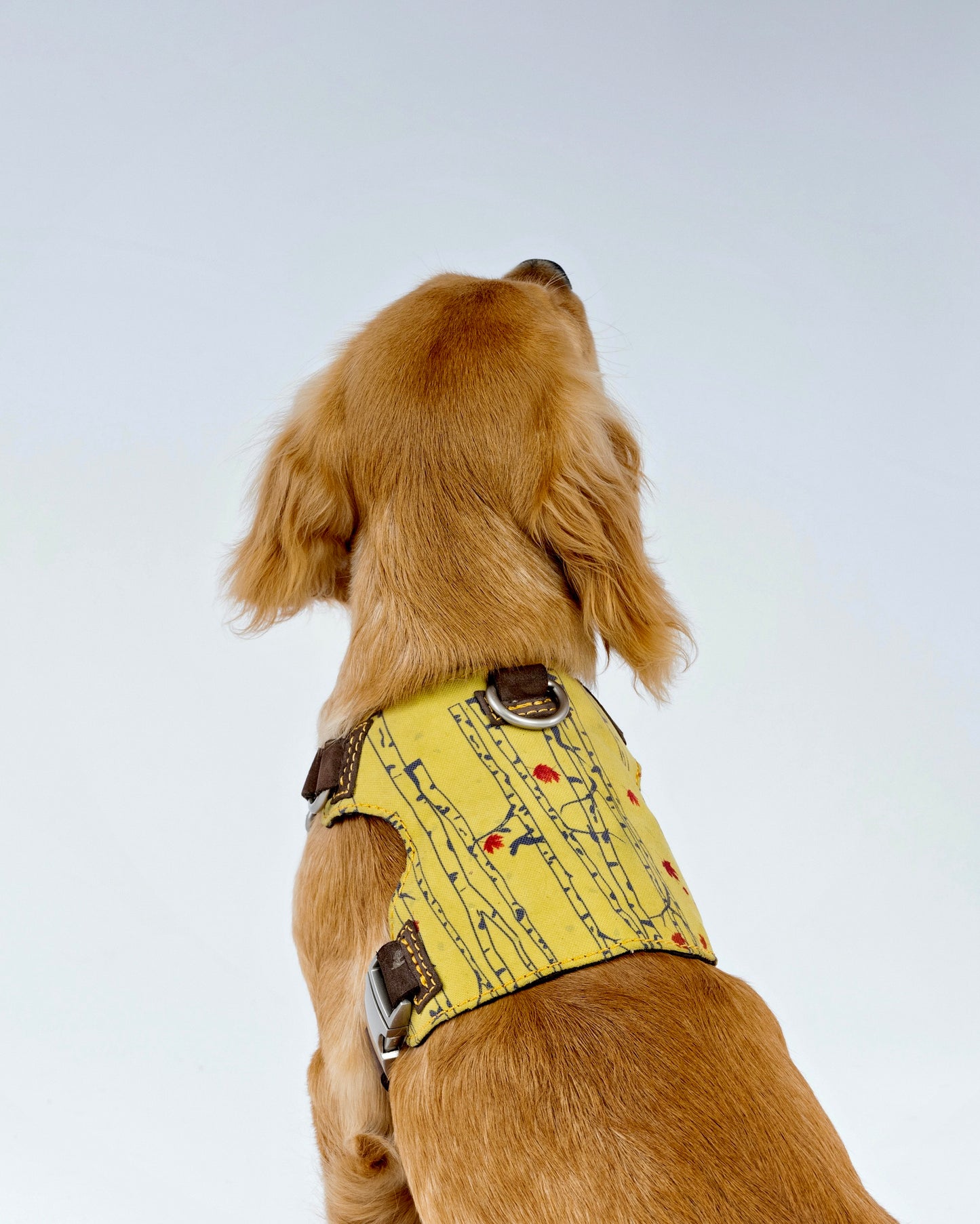 Autumn Forest Dog Harness