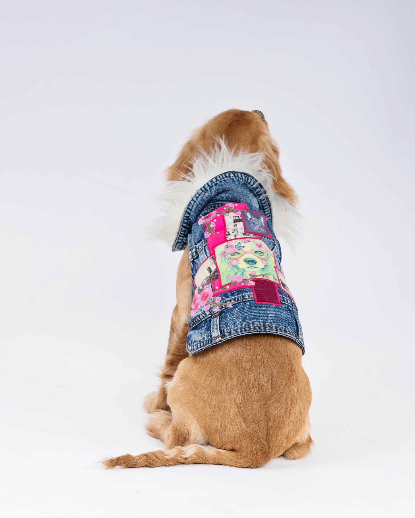 Poodle Collage  Bespoke Jacket