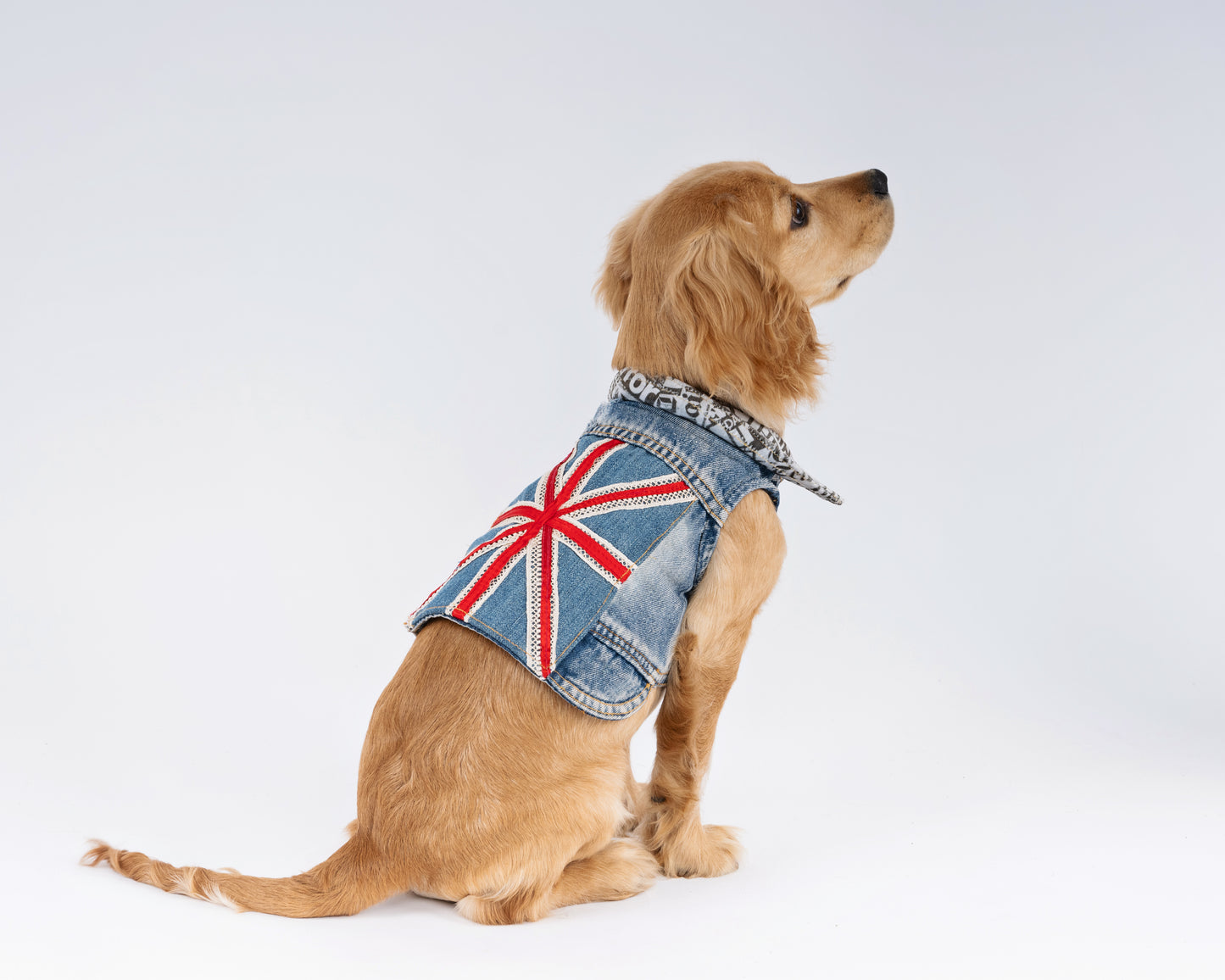 Union Jack Flash Bespoke Jacket