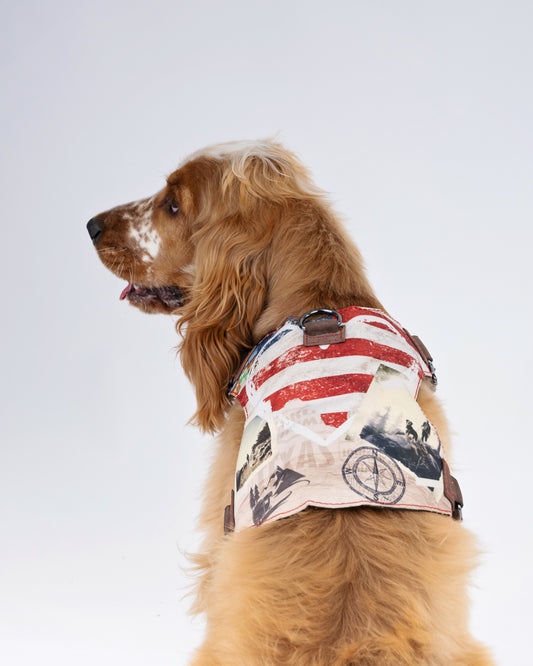 American cross country Dog Harness