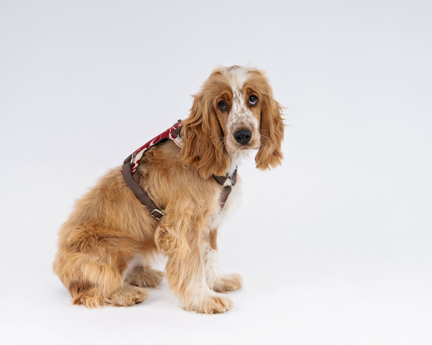Crimson Royale Brocade Dog Harness