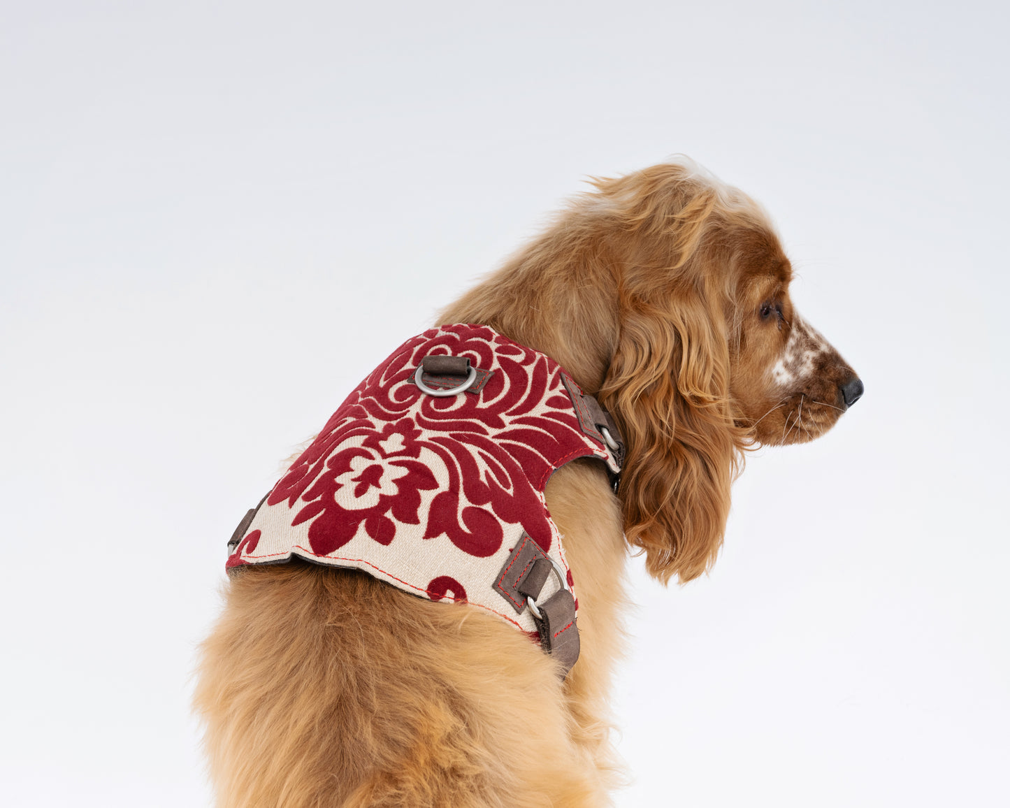 Crimson Royale Brocade Dog Harness