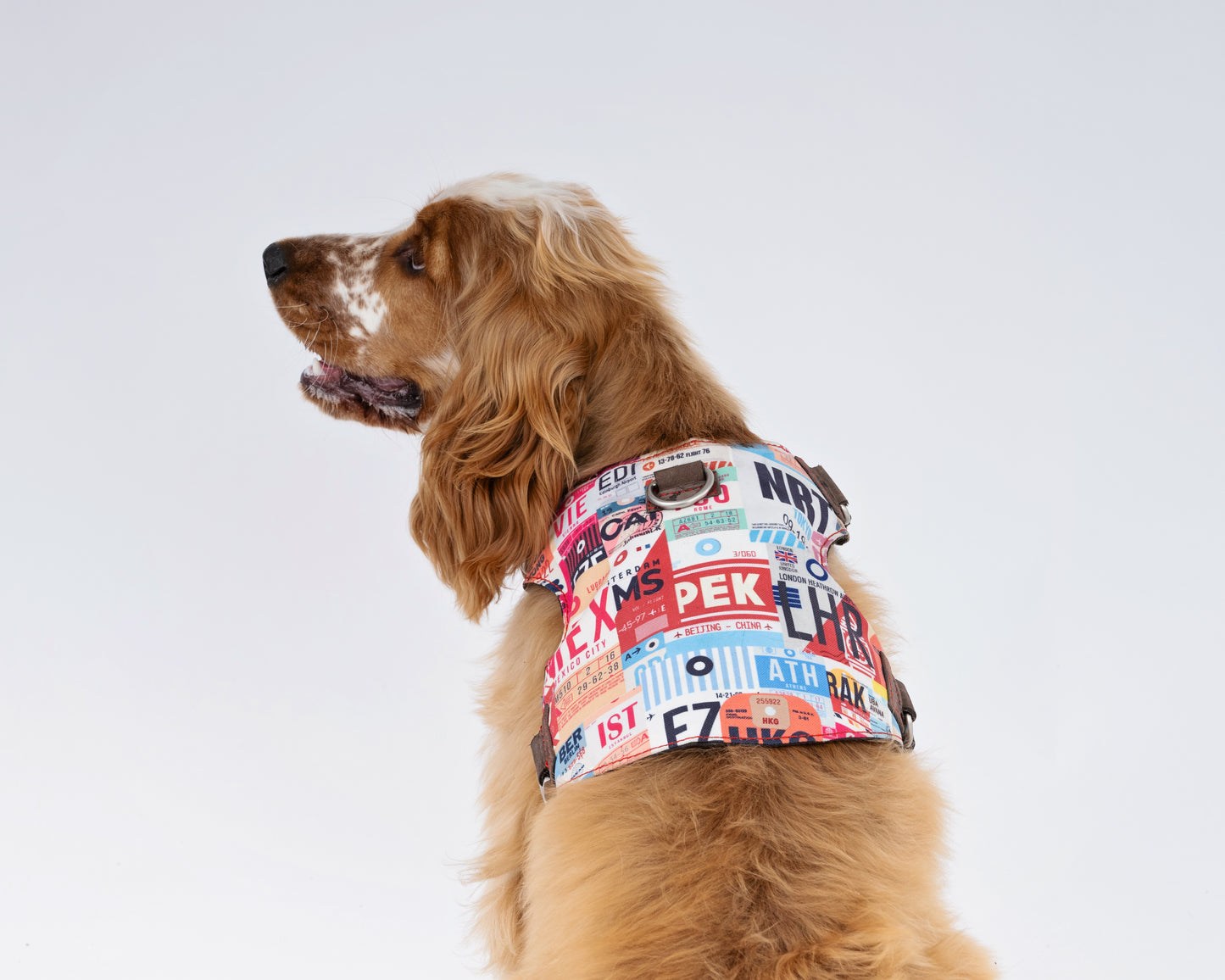Luggage Tags Dog Harness