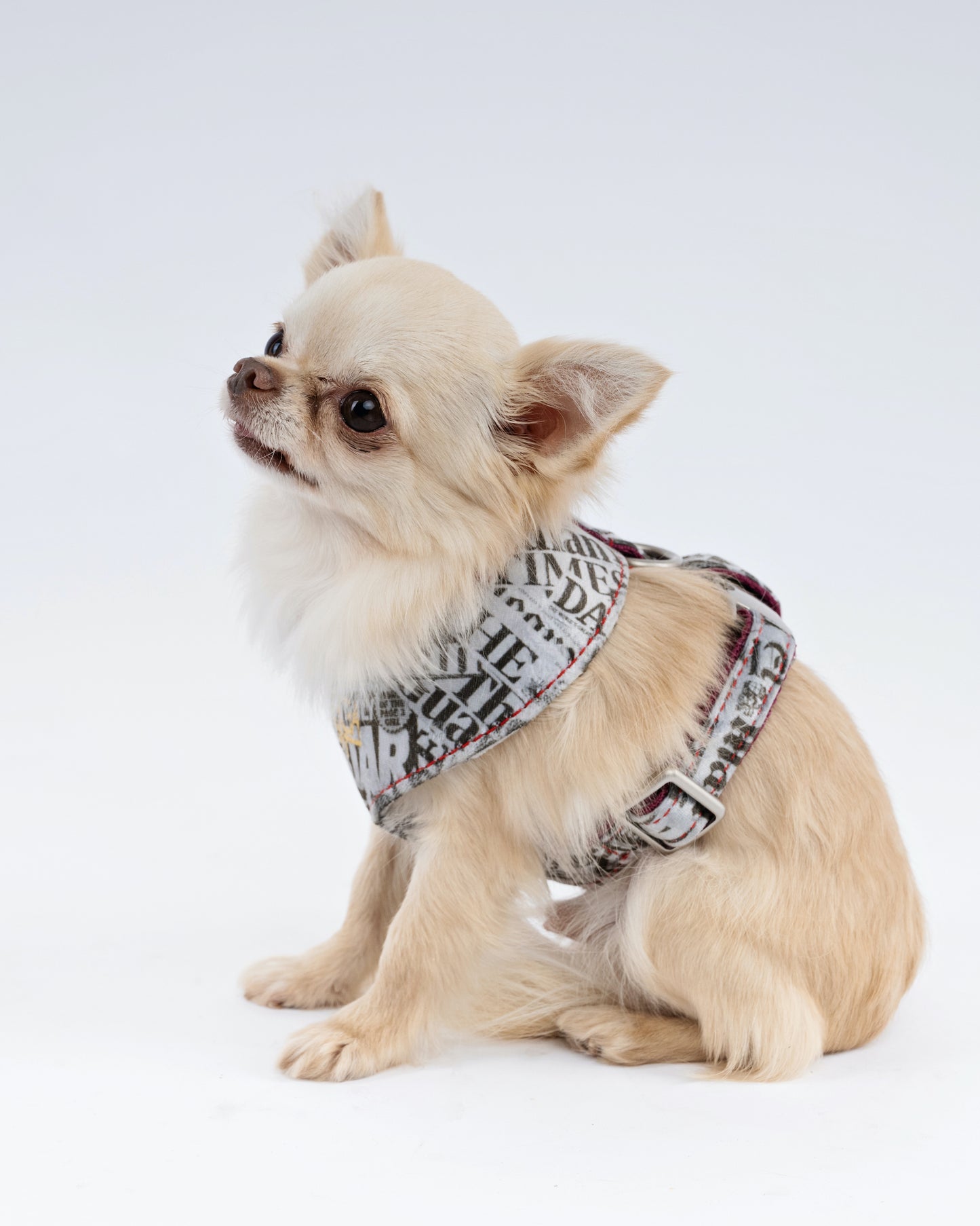 Newspaper Print Velvet Dog Harness – Designer Edition