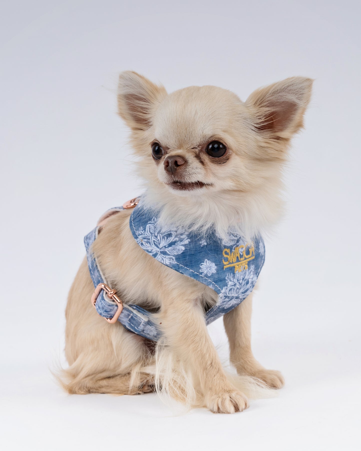 Blue Floral Velvet Dog Harness – Rose Gold Edition