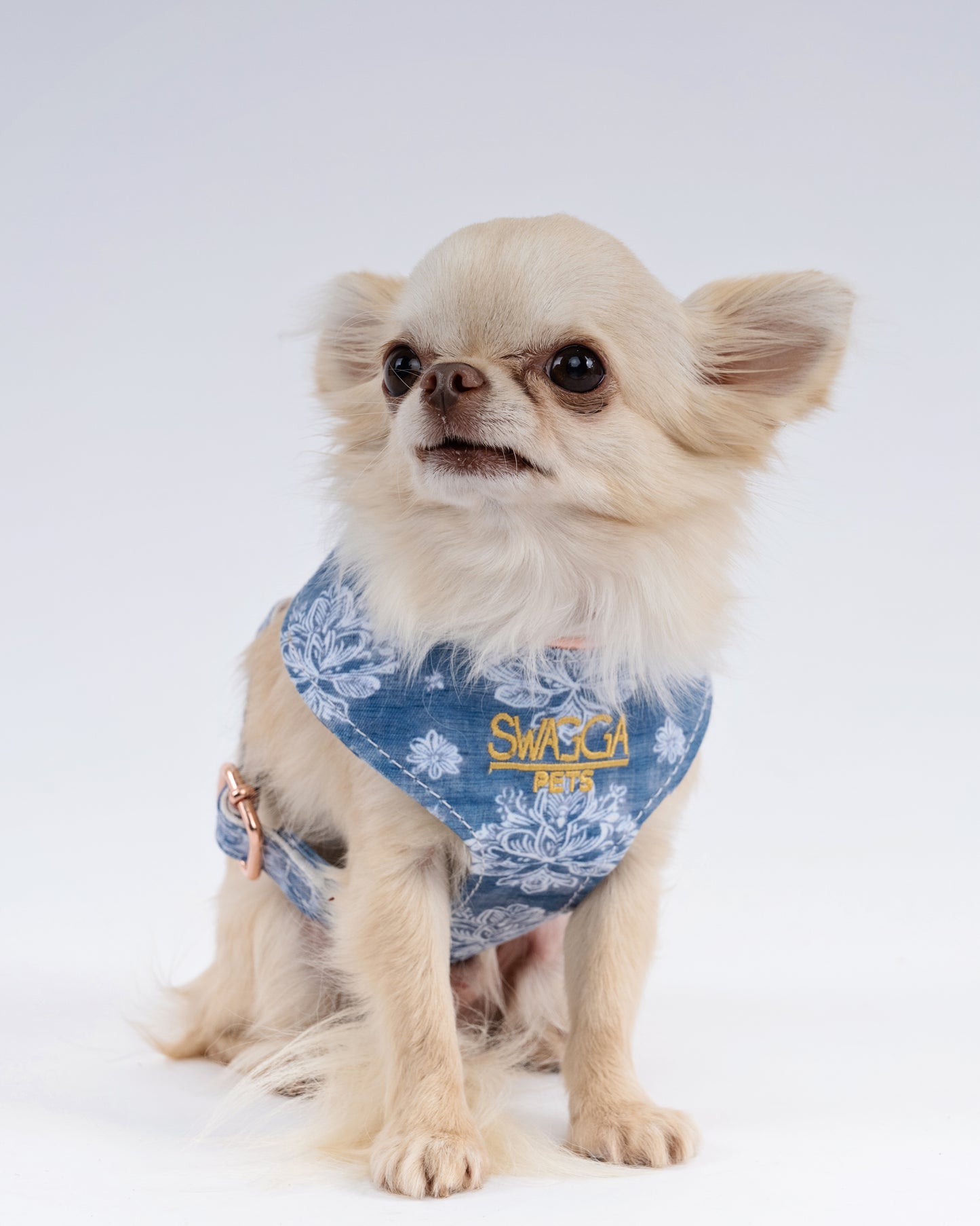 Blue Floral Velvet Dog Harness – Rose Gold Edition