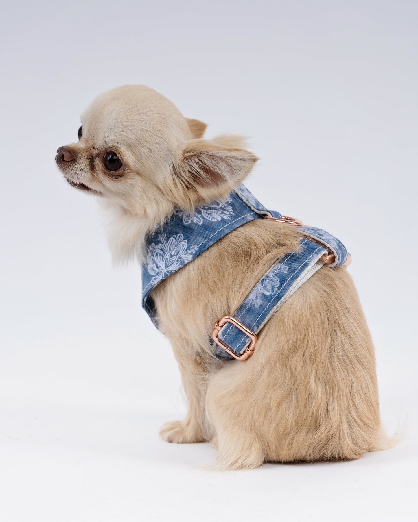Blue Floral Velvet Dog Harness – Rose Gold Edition