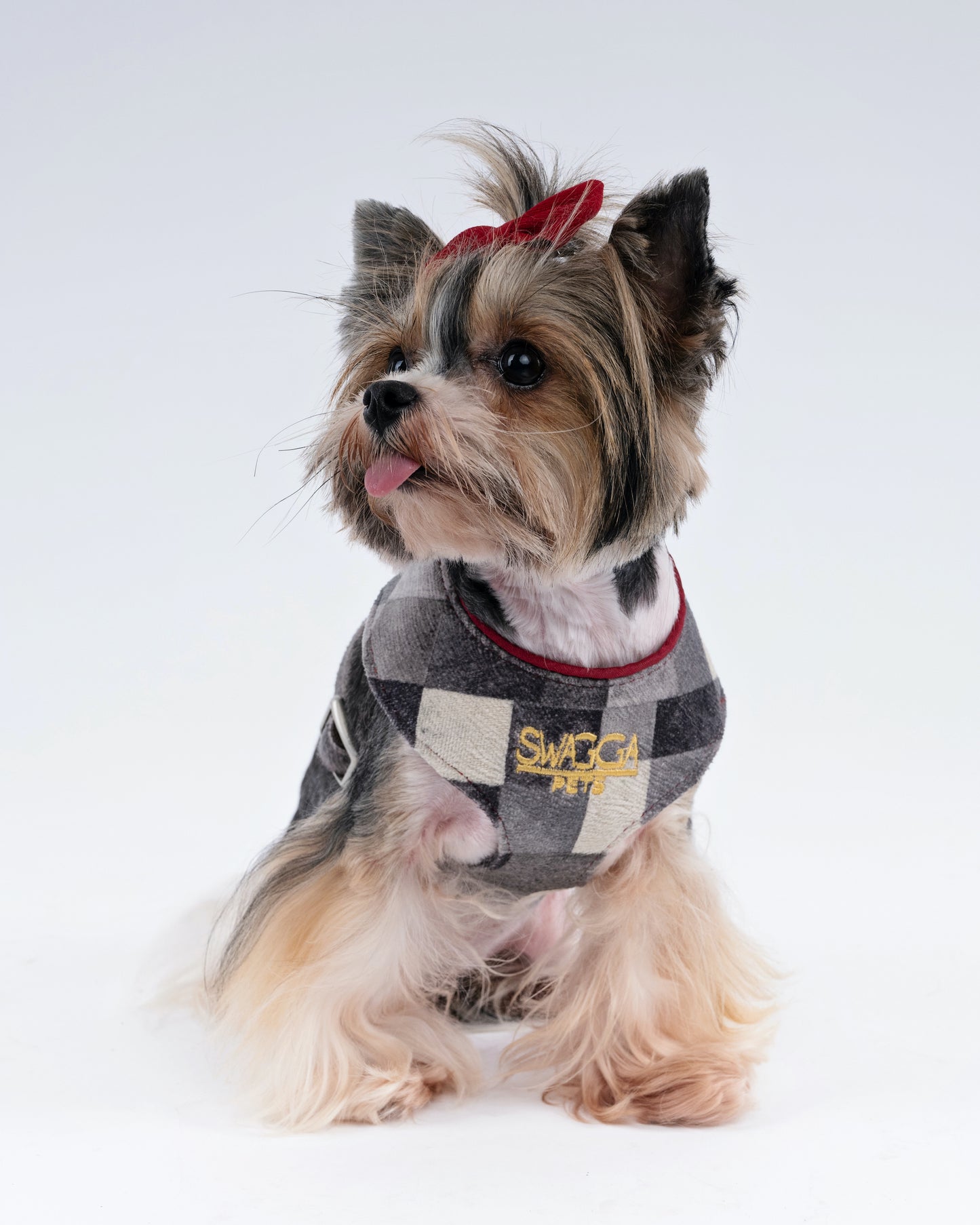 Cubist Velvet Dog Harness – Luxury Gold Hardware