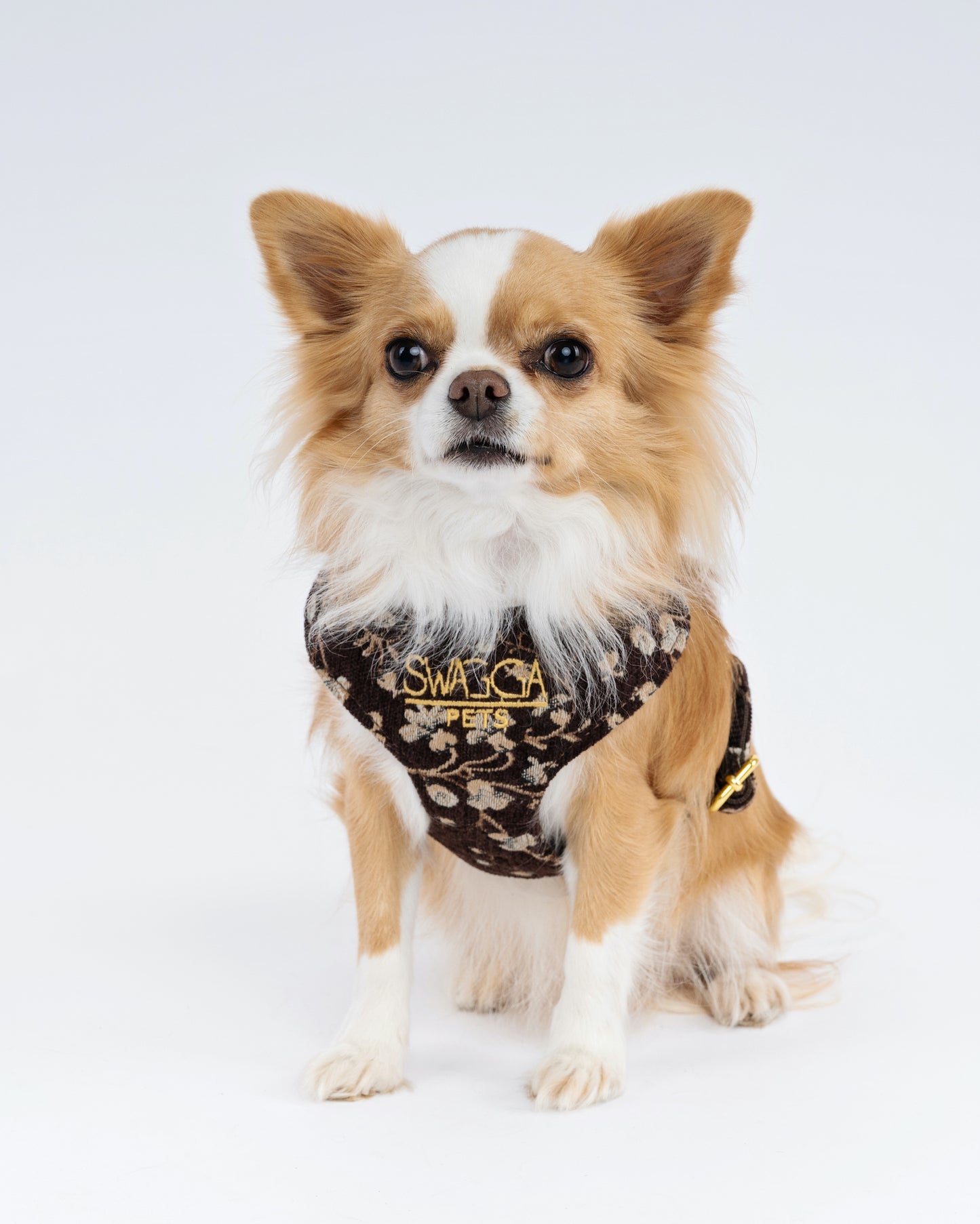 Vintage Brown Floral Velvet Dog Harness – Luxury Gold Hardware