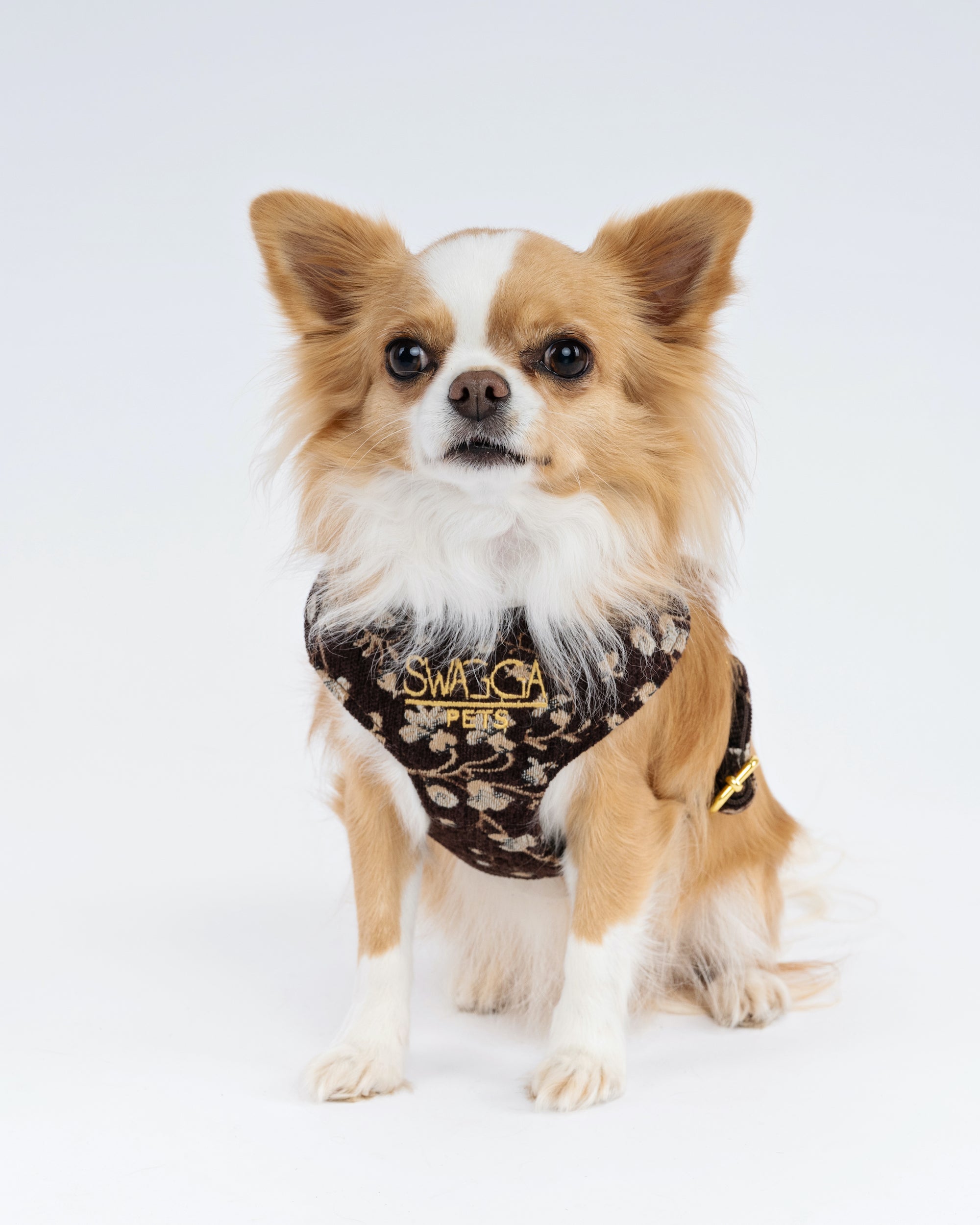 Vintage Brown Floral Velvet Dog Harness – Luxury Gold Hardware
