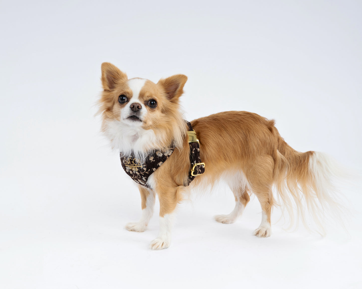 Vintage Brown Floral Velvet Dog Harness – Luxury Gold Hardware
