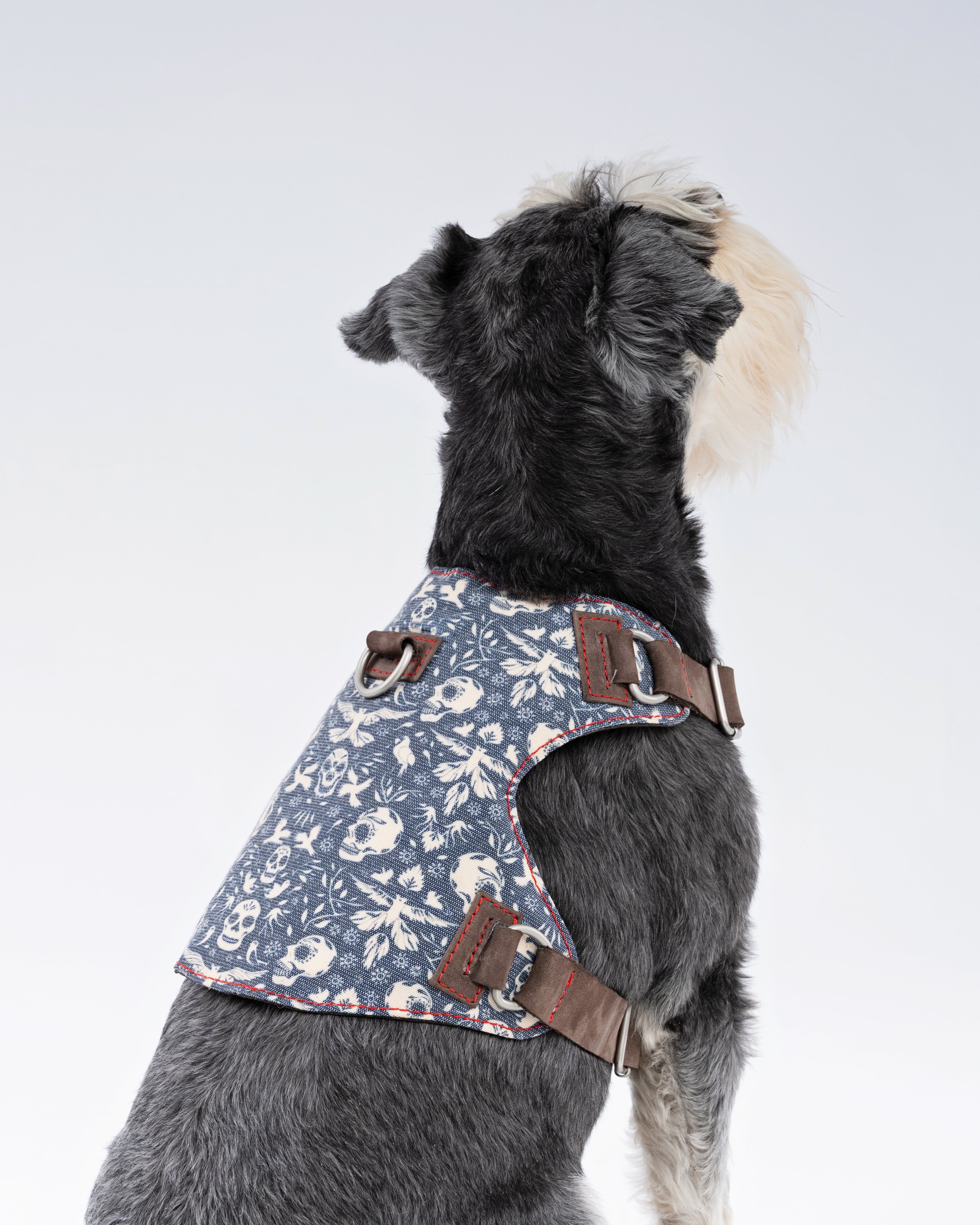 Skulls & Bones Dog Harness