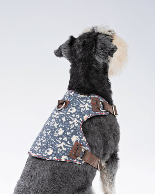 Skulls & Bones Dog Harness