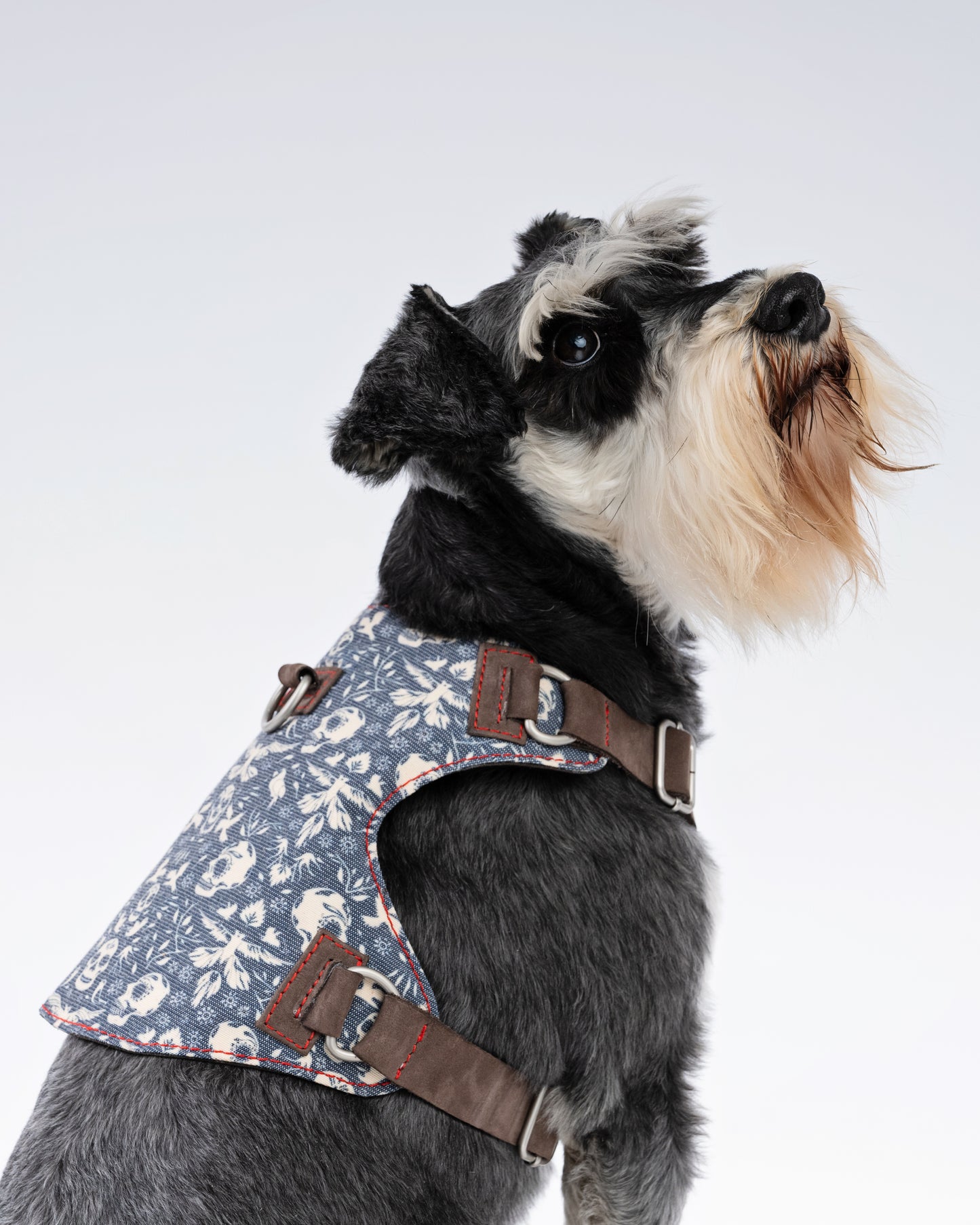Skulls & Bones Dog Harness
