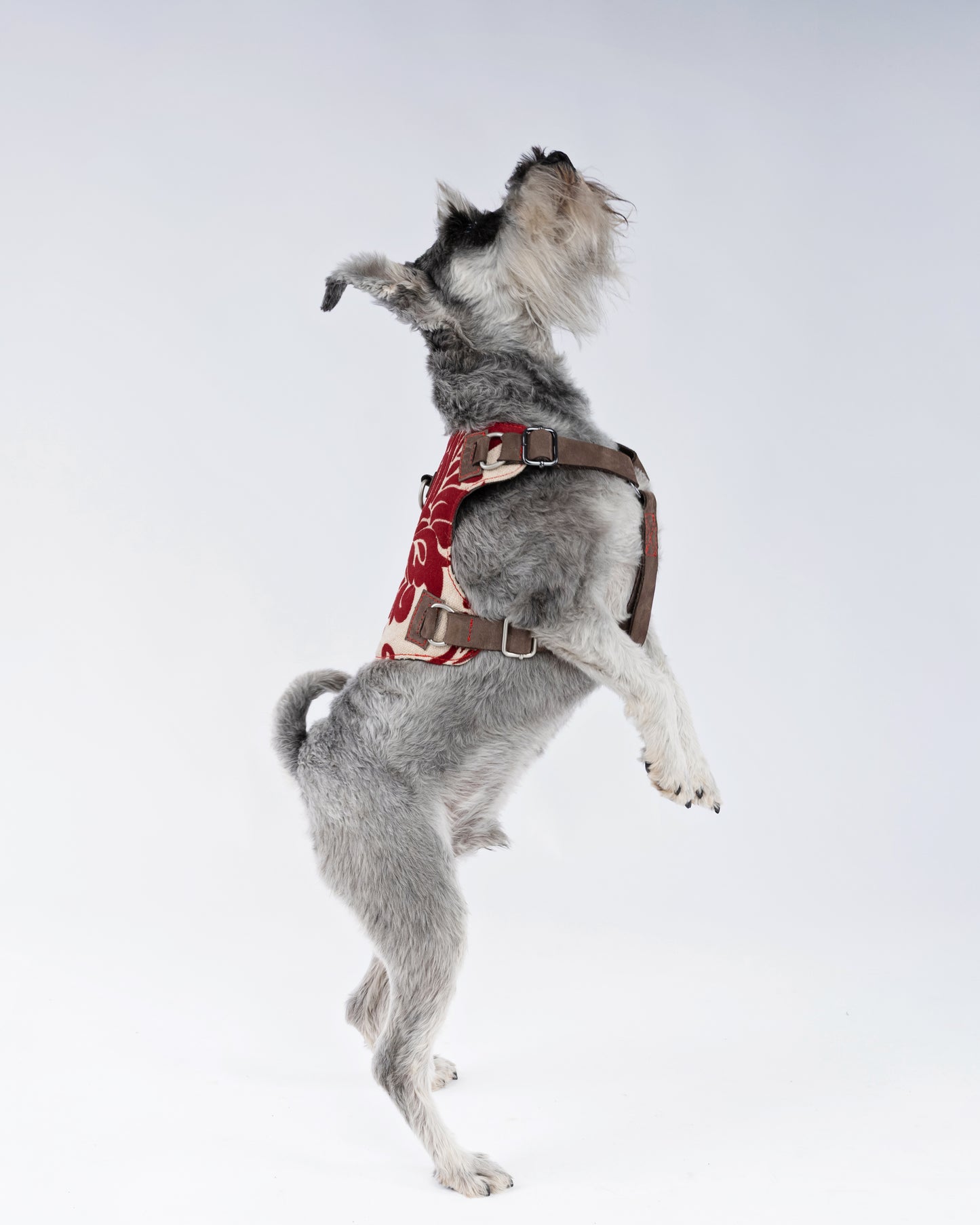 Crimson Royale Brocade Dog Harness