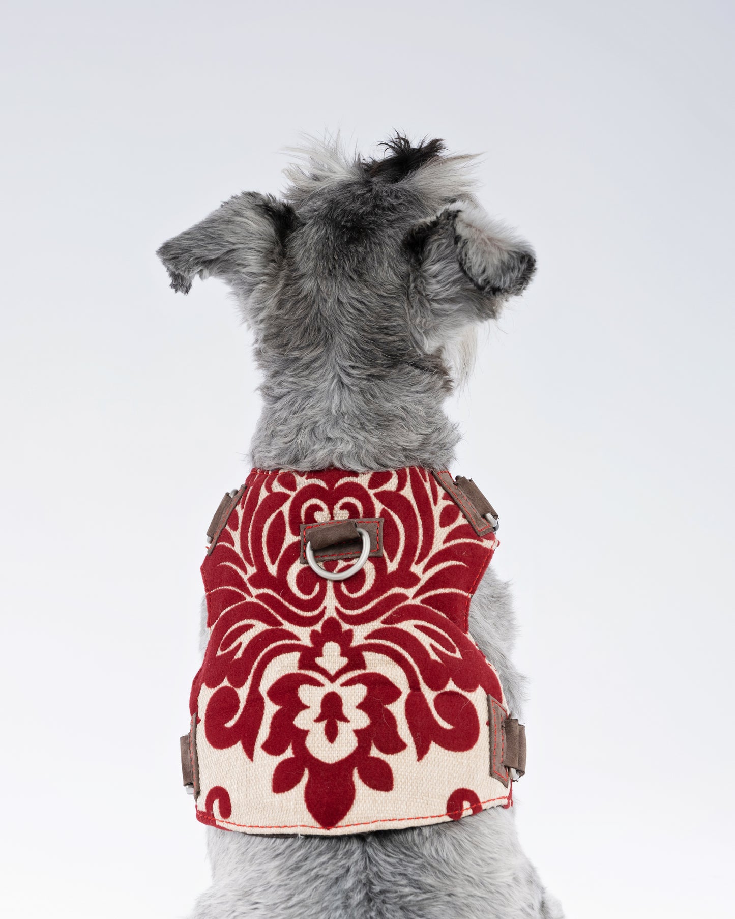 Crimson Royale Brocade Dog Harness