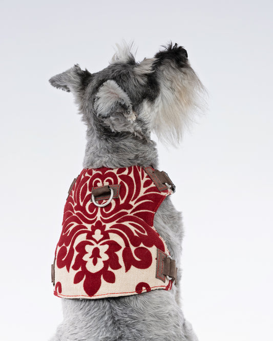 Crimson Royale Brocade Dog Harness