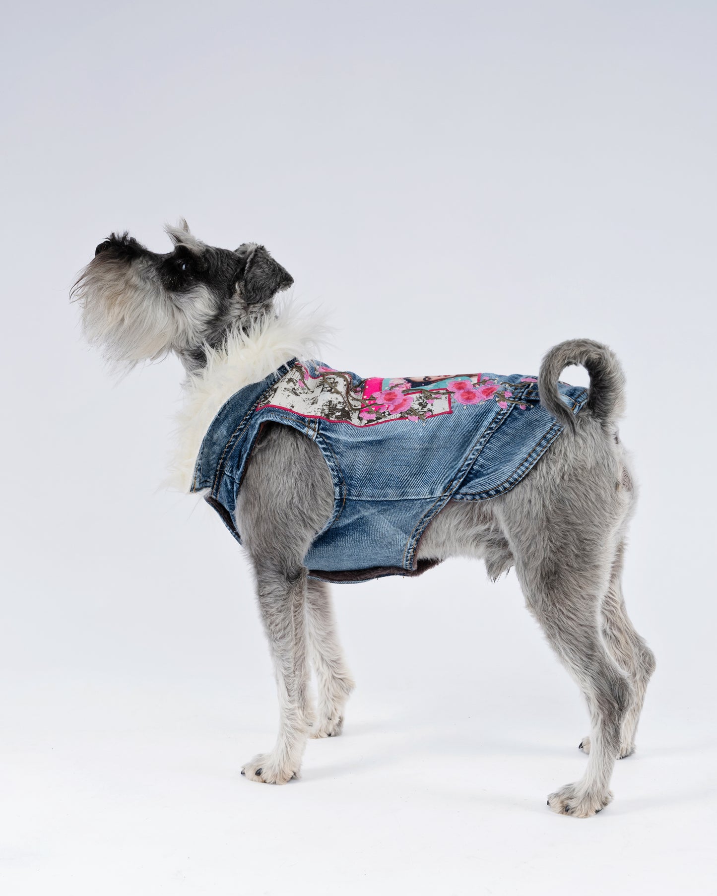Poodle Collage  Bespoke Jacket