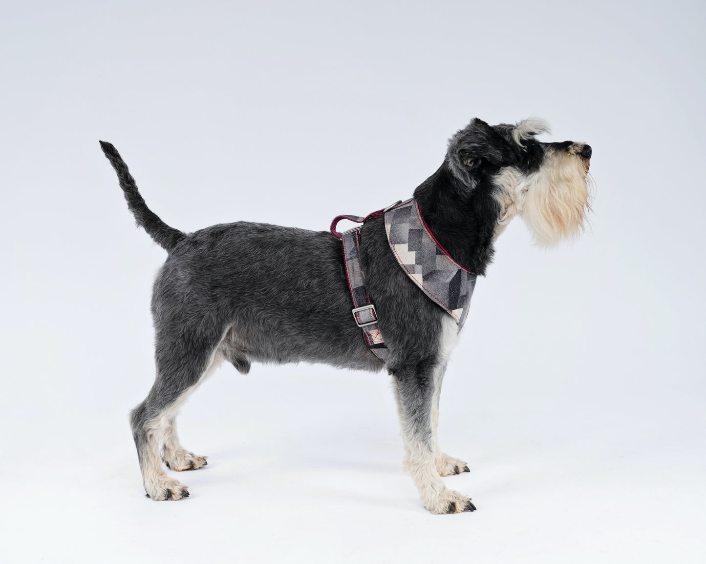 Cubist Velvet Dog Harness – Luxury Gold Hardware