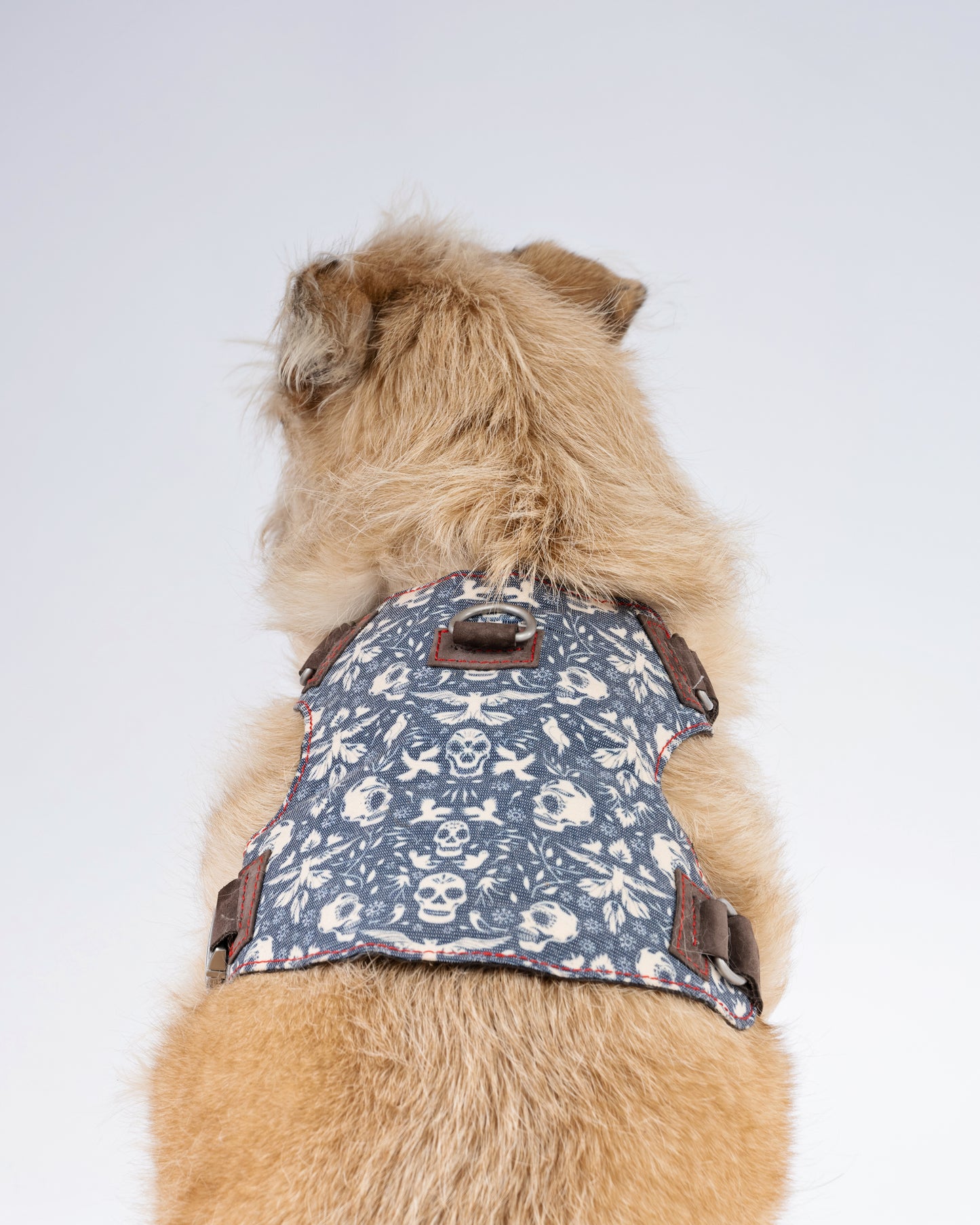 Skulls & Bones Dog Harness