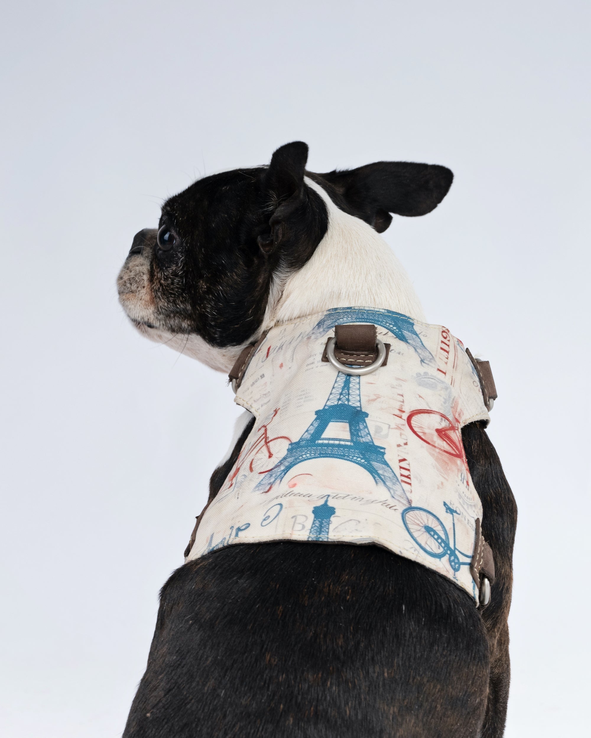 Paris Dog Harnes