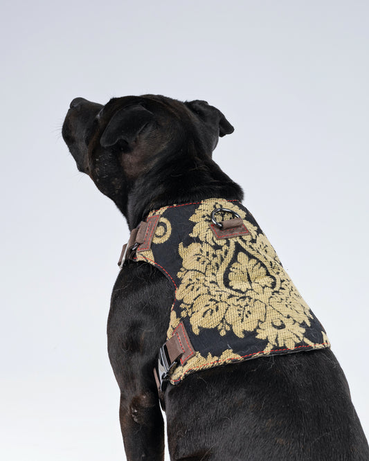 Brocade Dog Harness