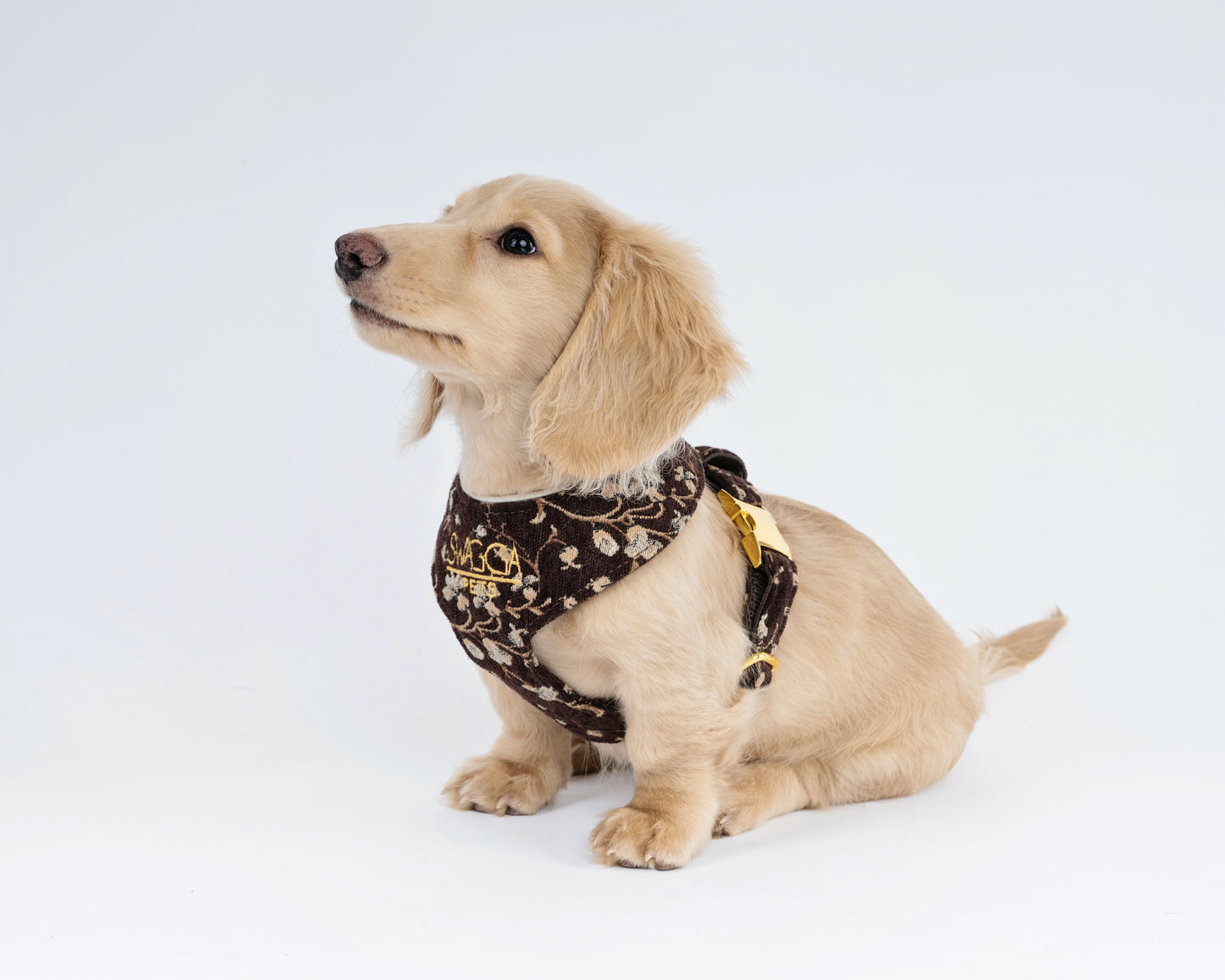 Vintage Brown Floral Velvet Dog Harness – Luxury Gold Hardware