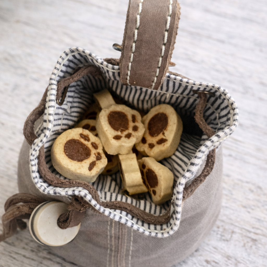Handmade Dog Treat Bag | Training & Walking Pouch