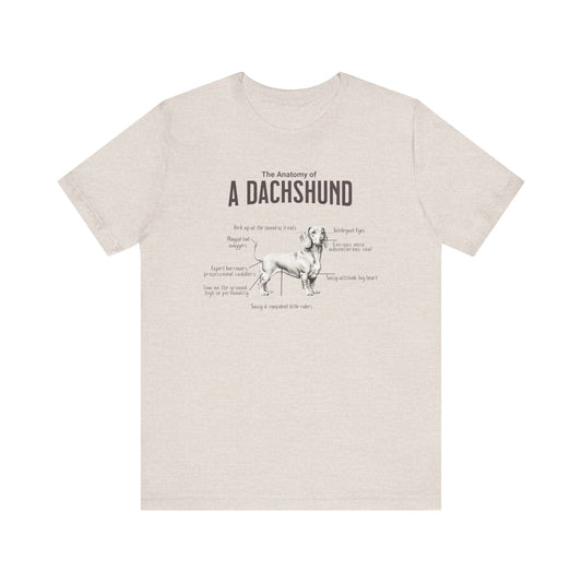 Dachshund Anatomy T-Shirt