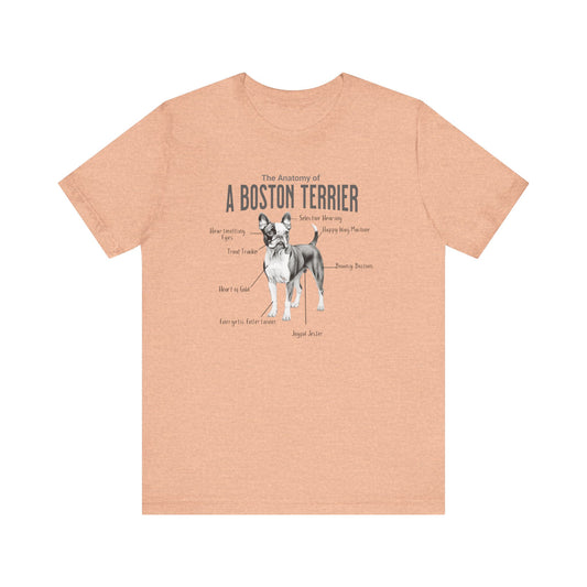 Boston Anatomy T-Shirt