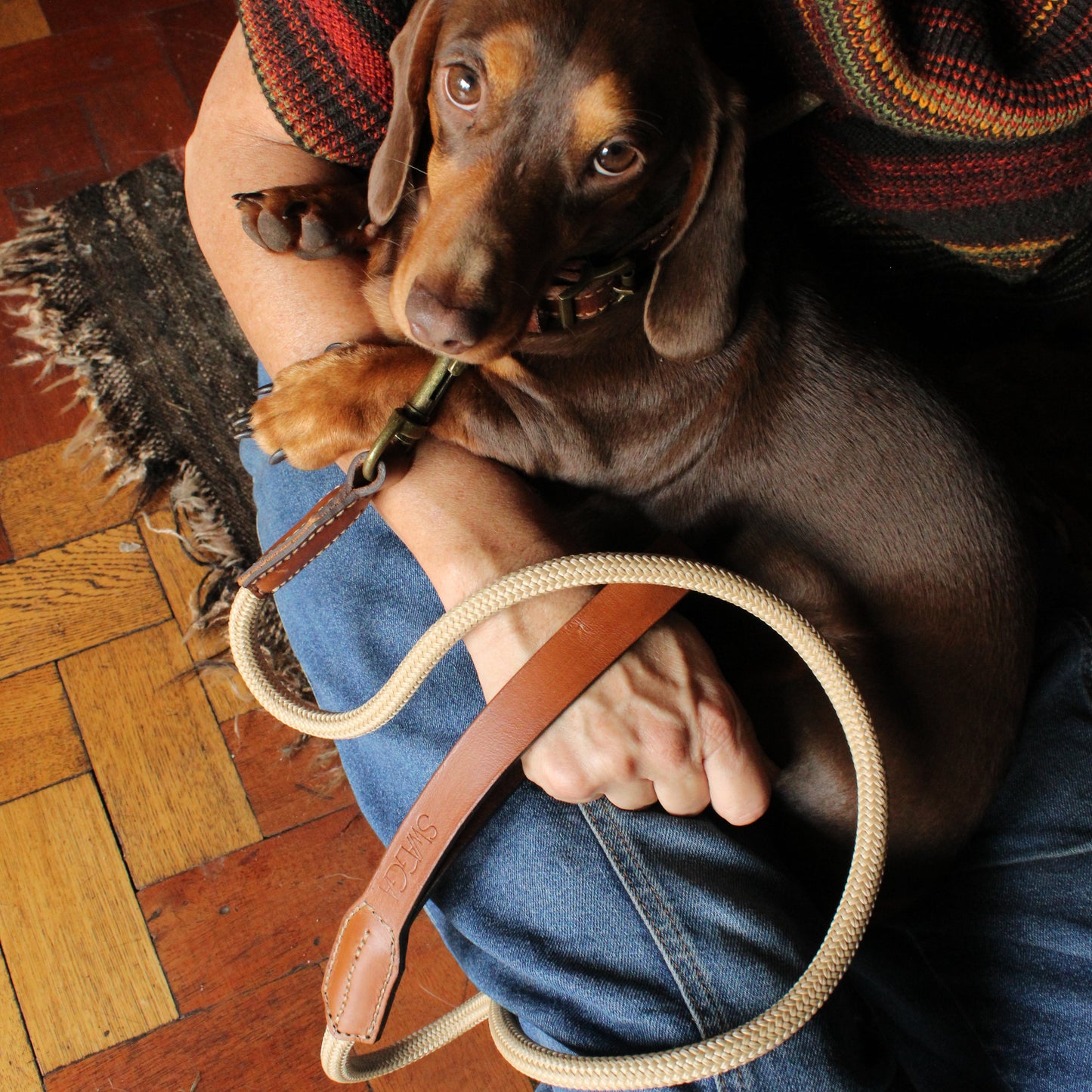 Hand-Stitched Leather & Rope Dog Leash