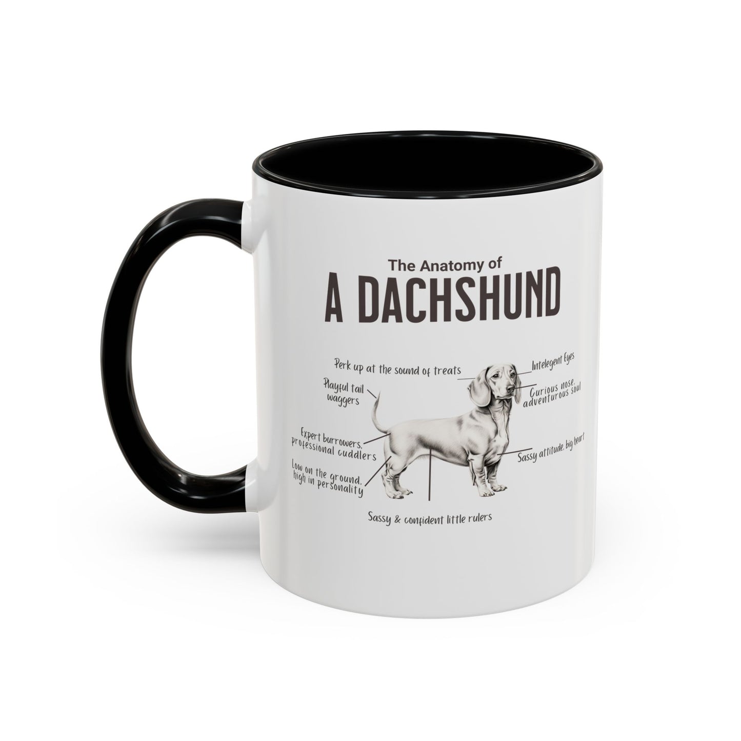 Dachshund Anatomy Mug White