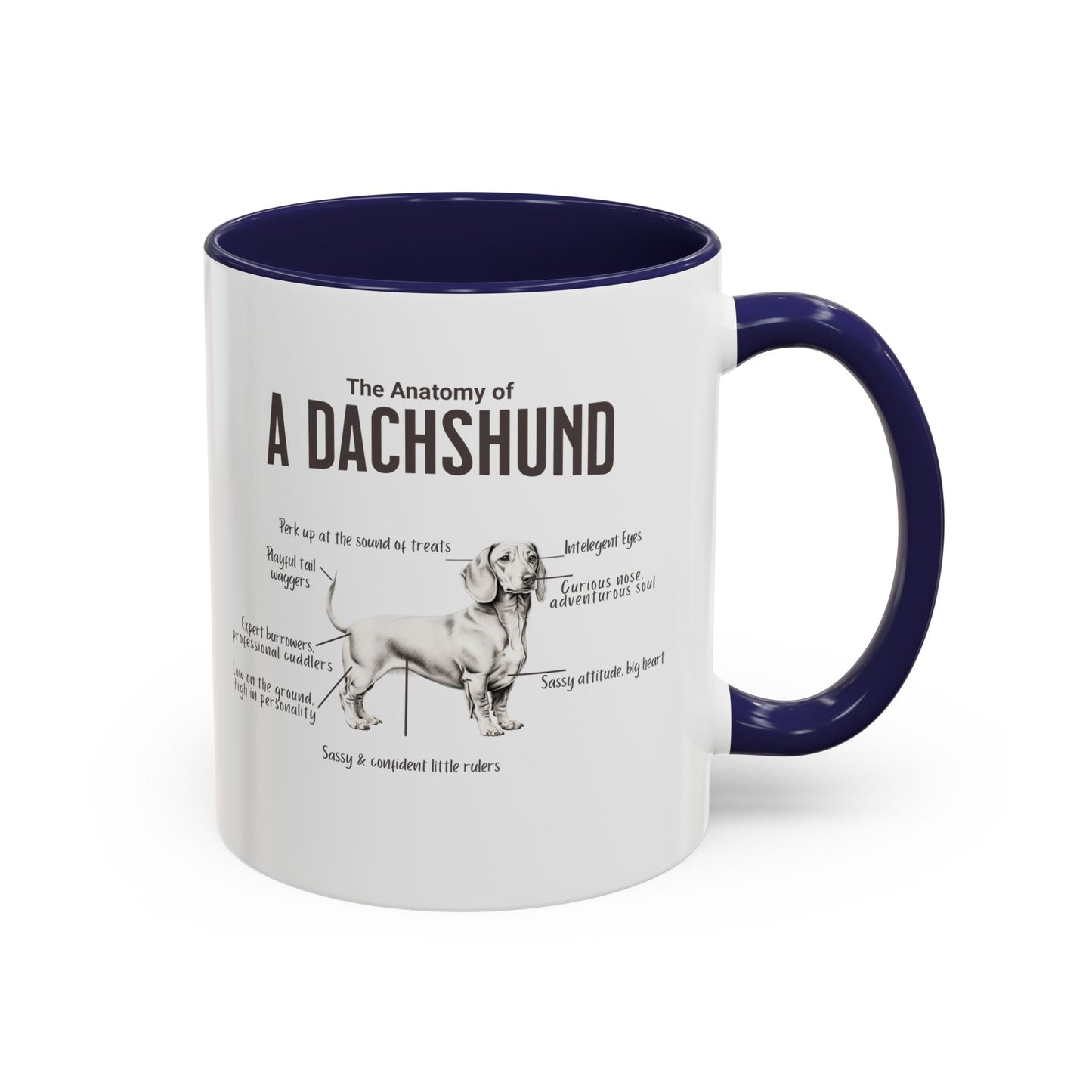 Dachshund Anatomy Mug White