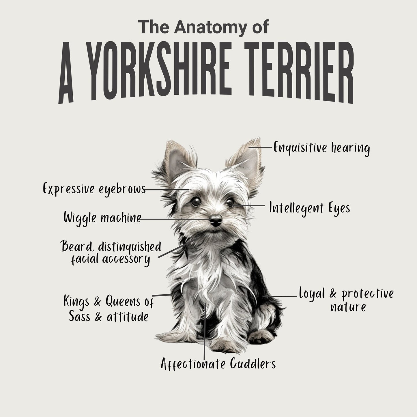 Yorkshire Terrier Anatomy T-Shirt (Dark Tones)