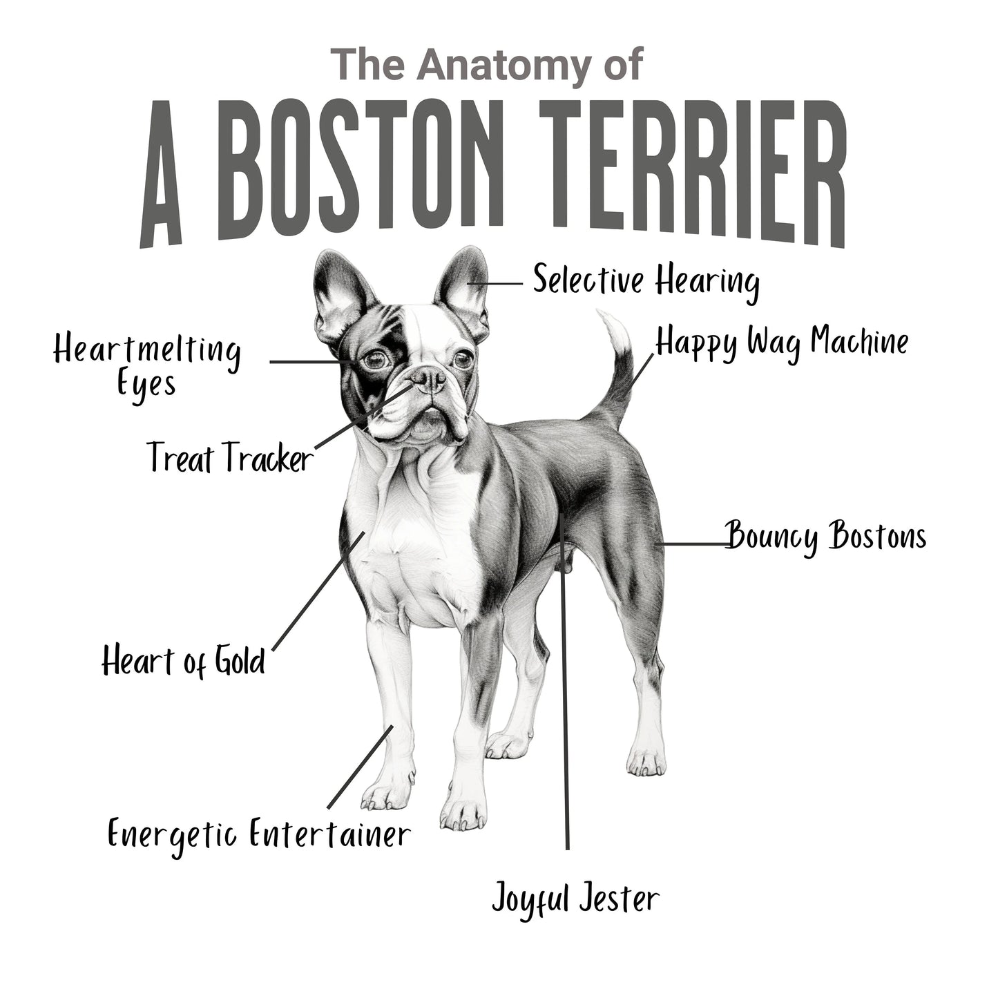 Boston Anatomy Tote Bag