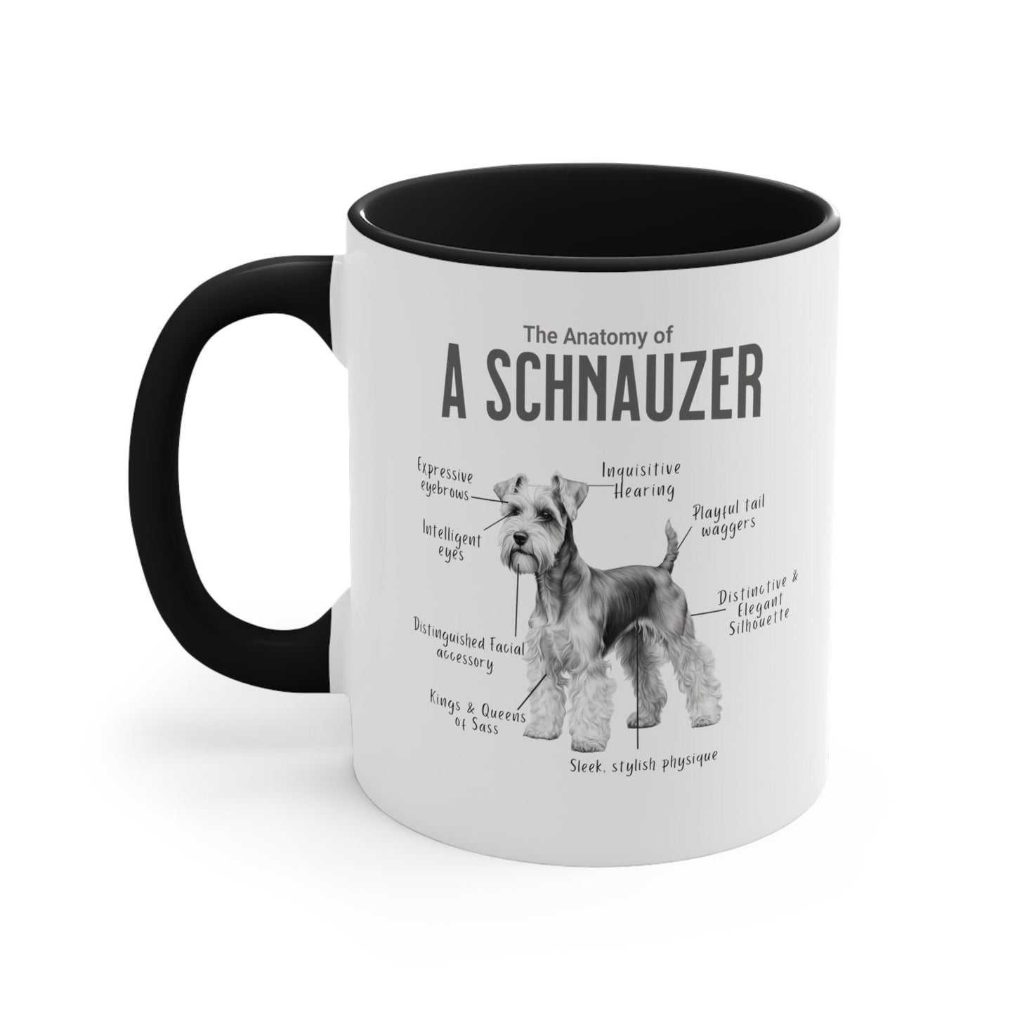 Schnauzer Anatomy Mug White